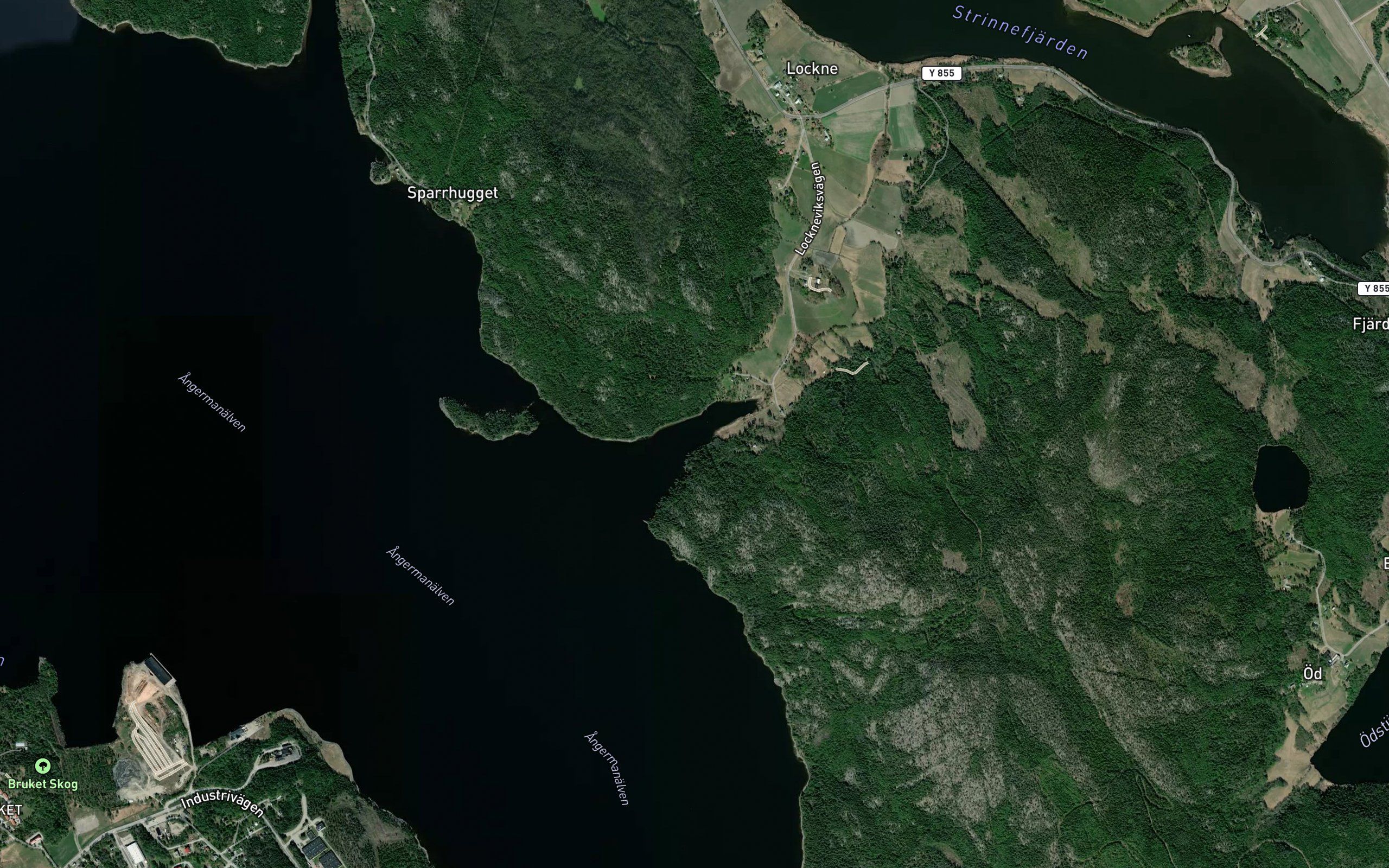Lockneviken