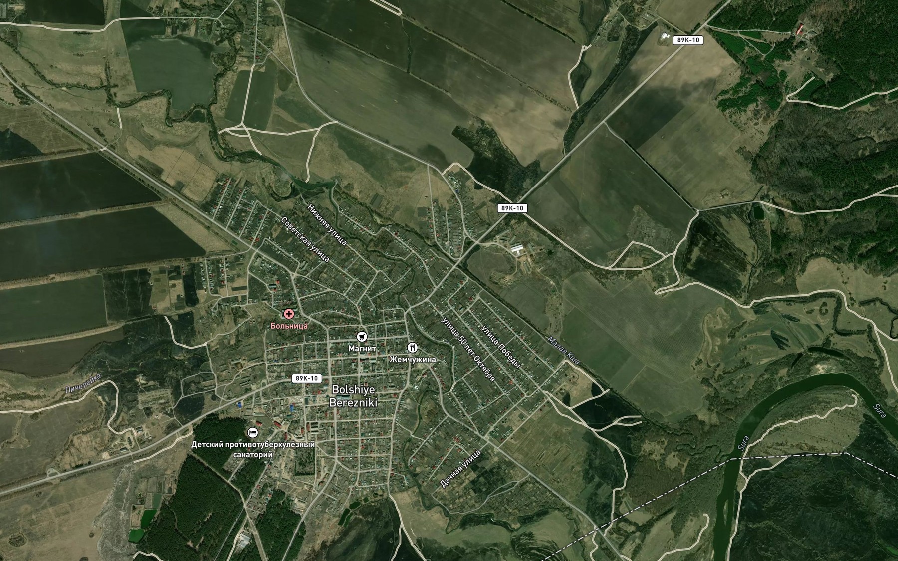 Satellite map of the Picheleyka