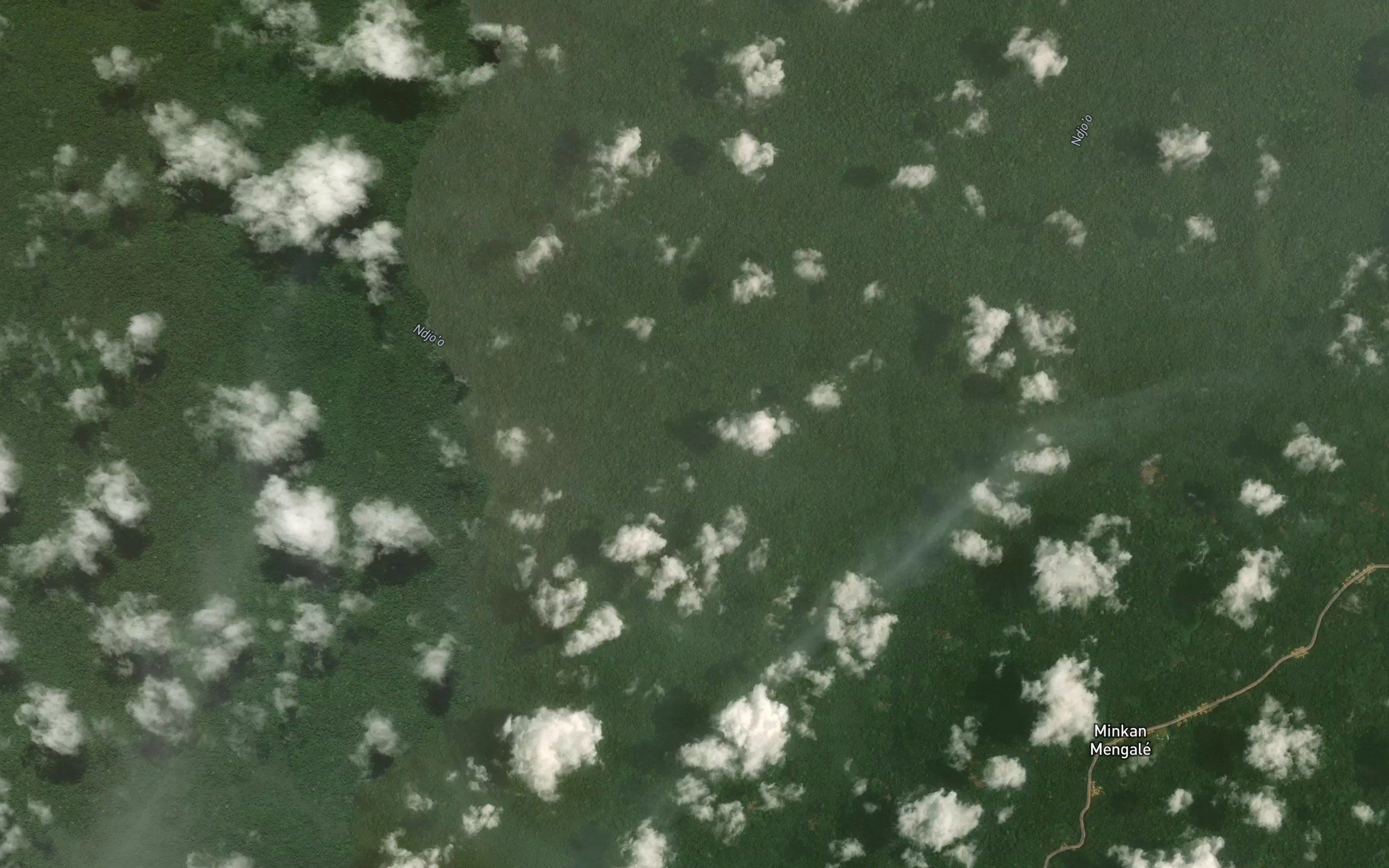 Ngon