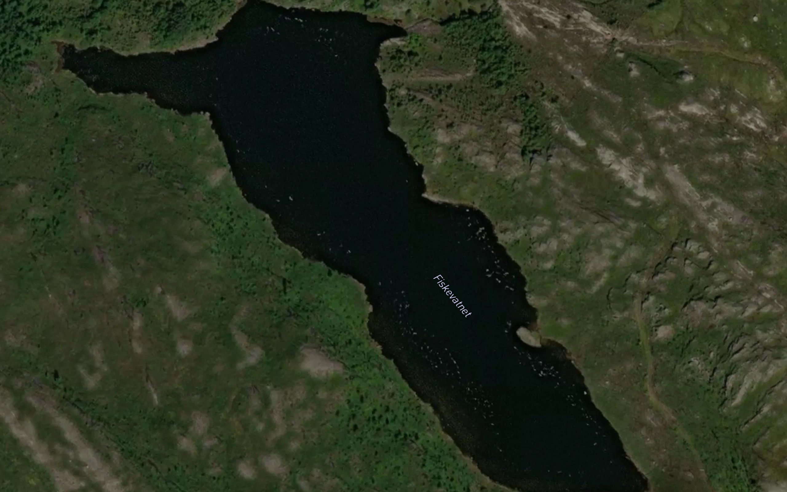 Fiskevatnet