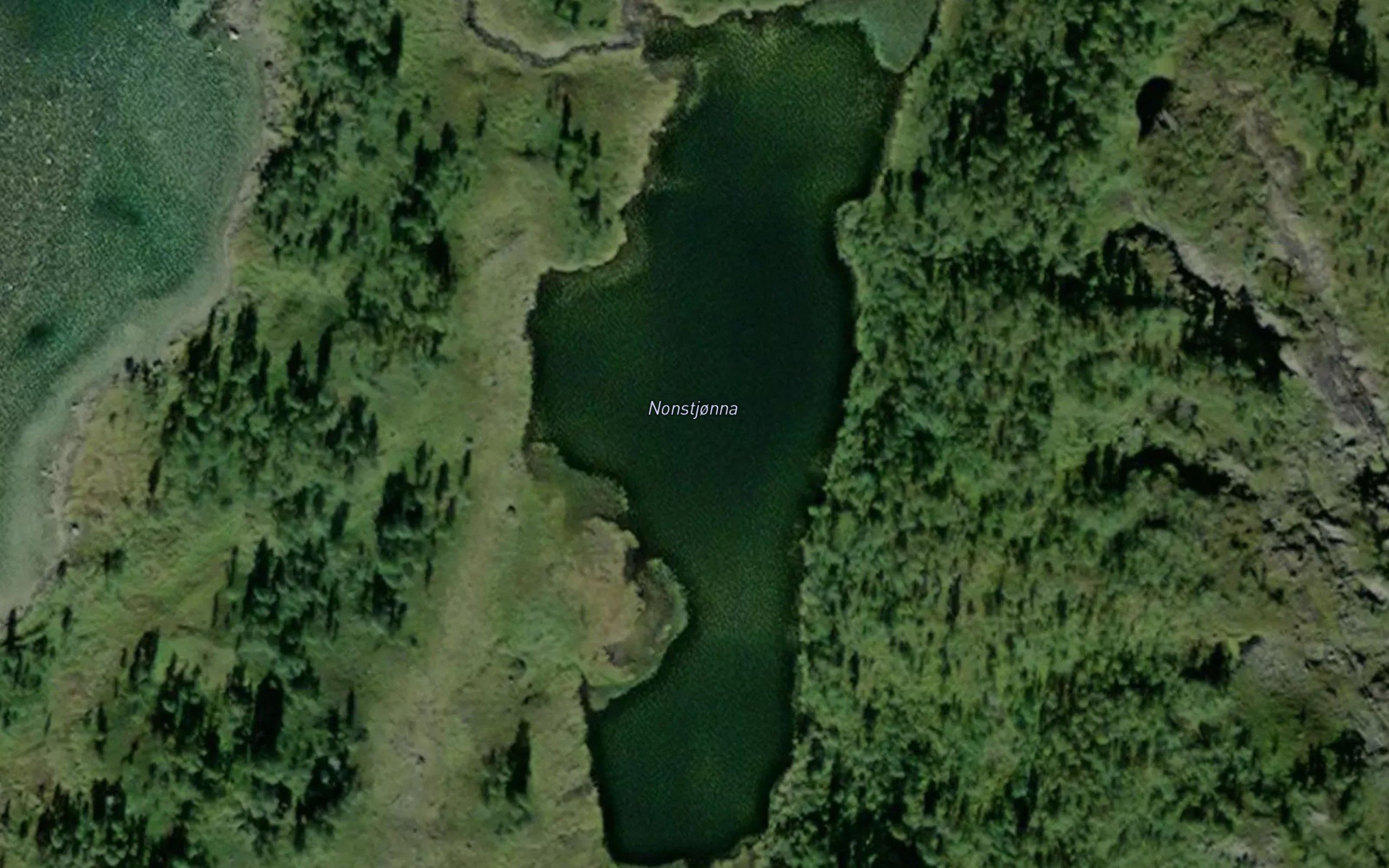 Nonstjorna