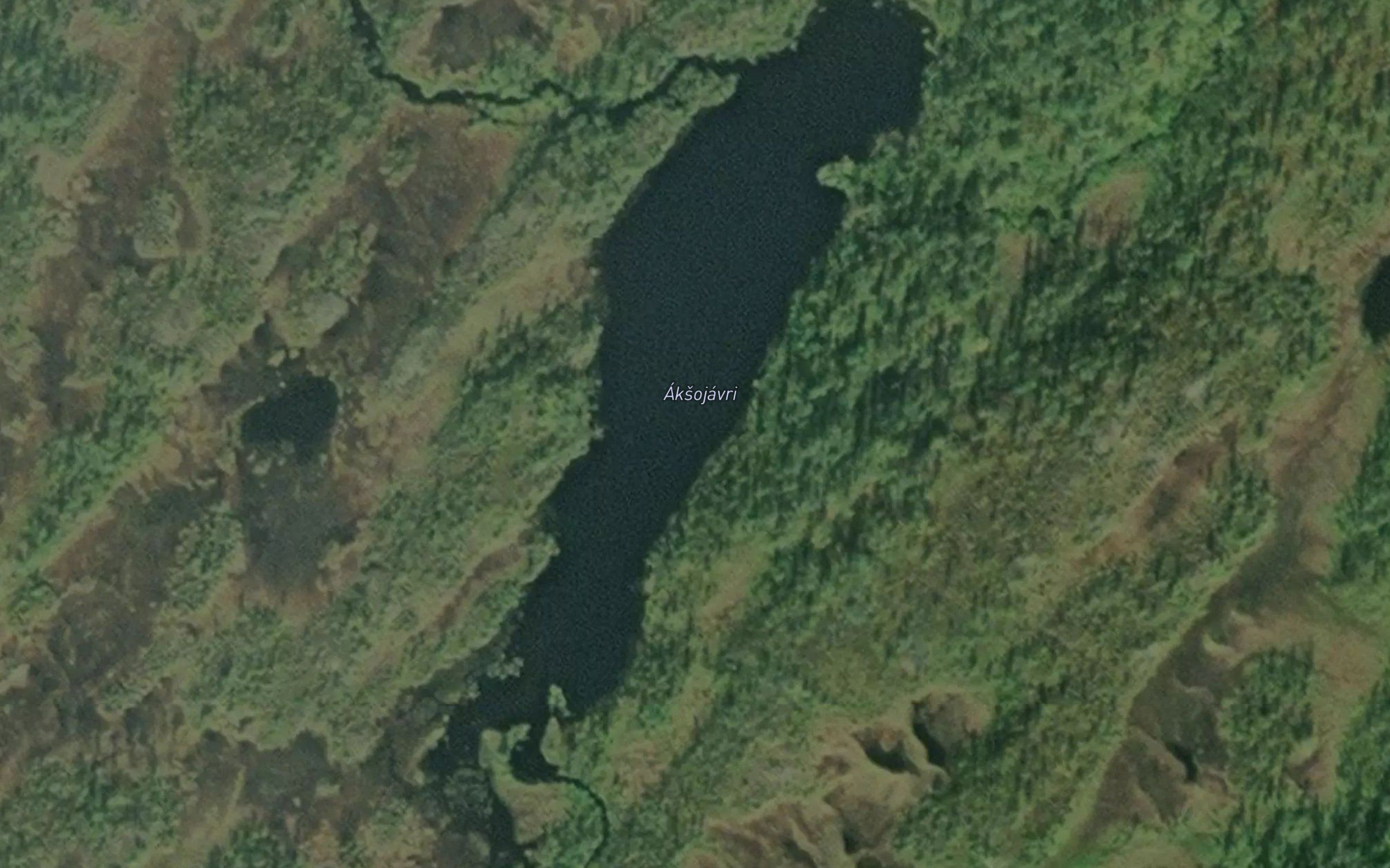 Aksojavri