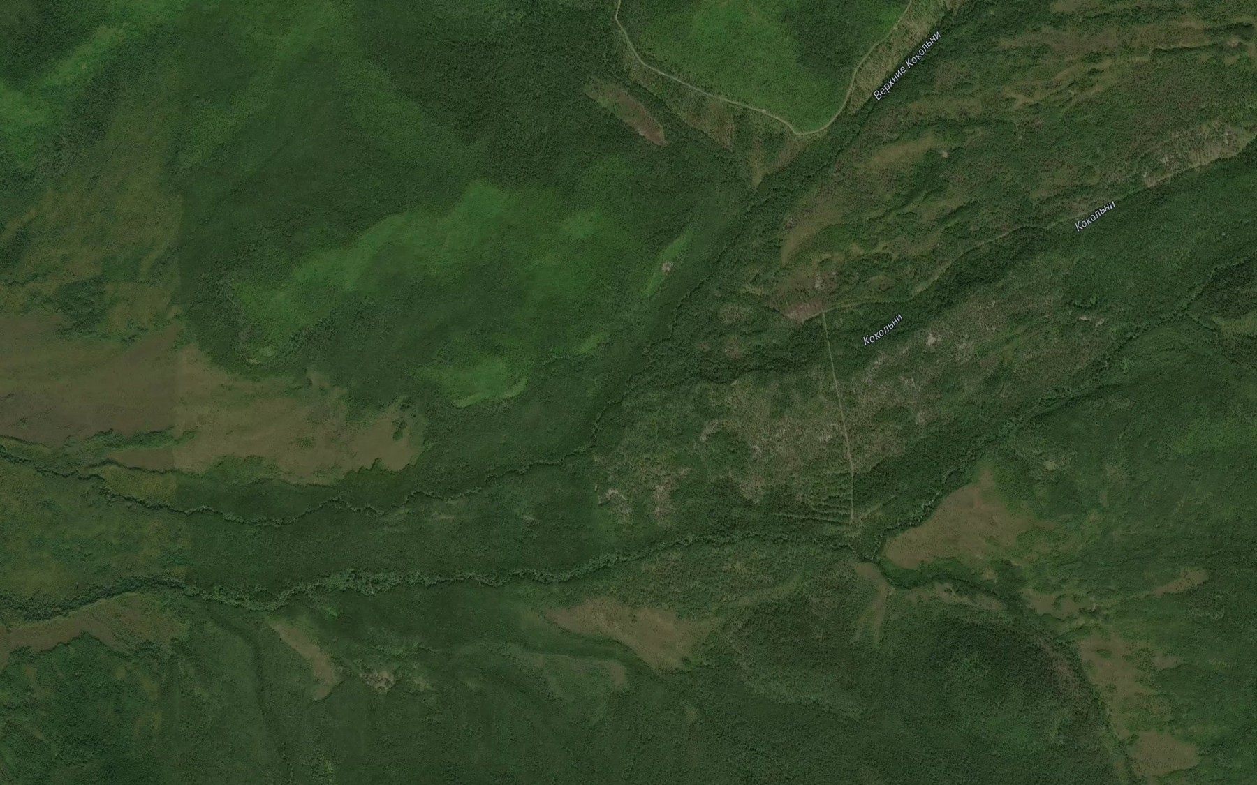 Satellite map of the Verkhniye Kokol'ni