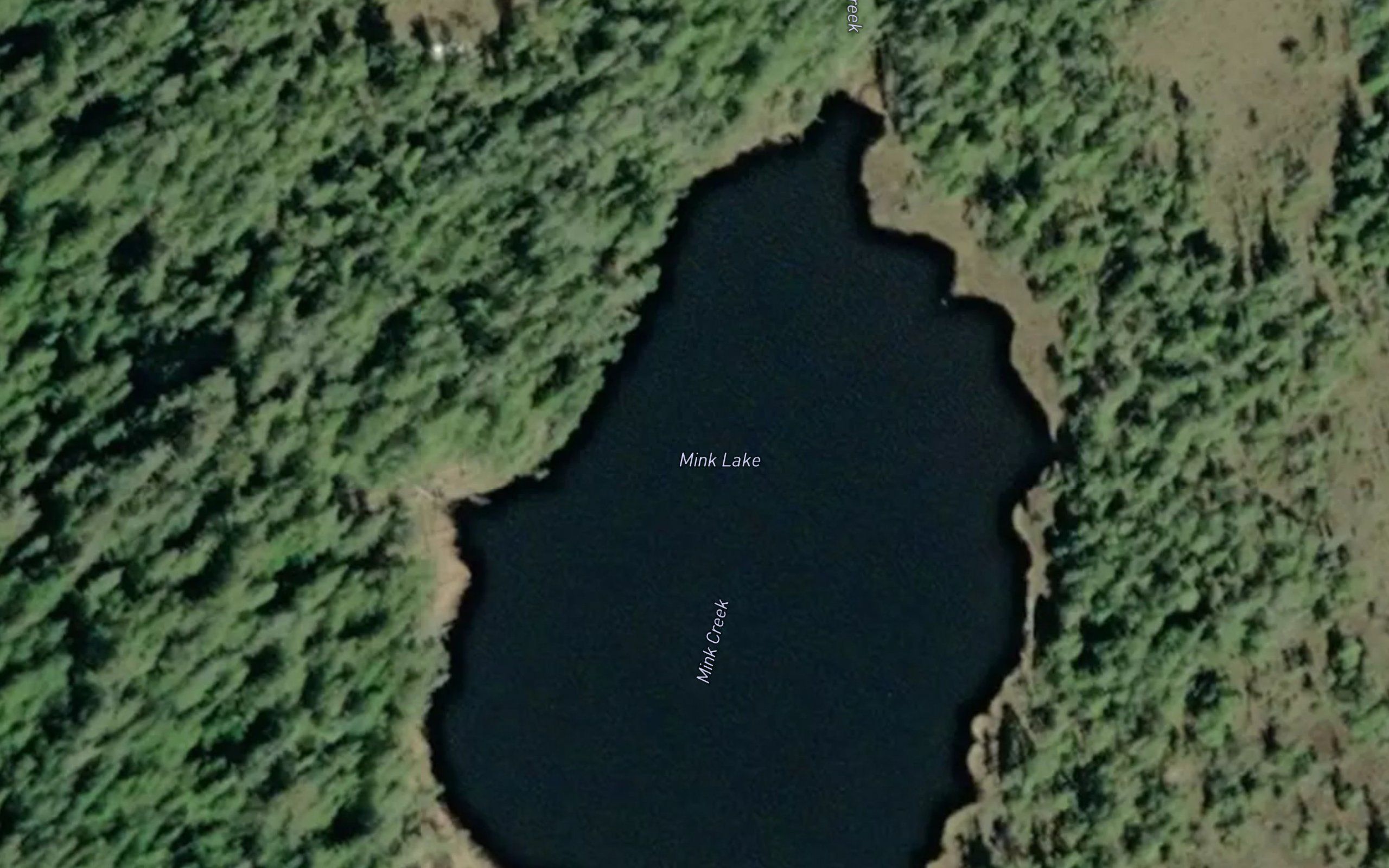 Mink Lake