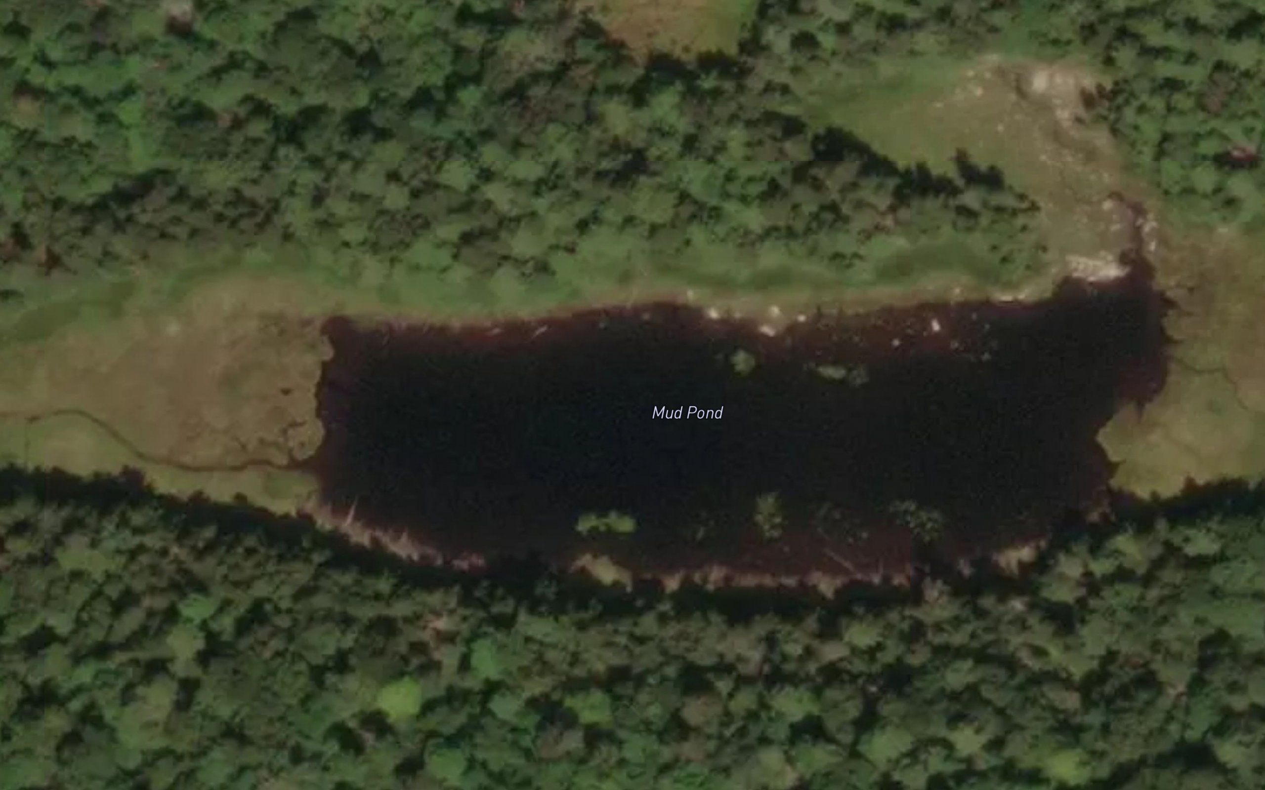 Mud Pond