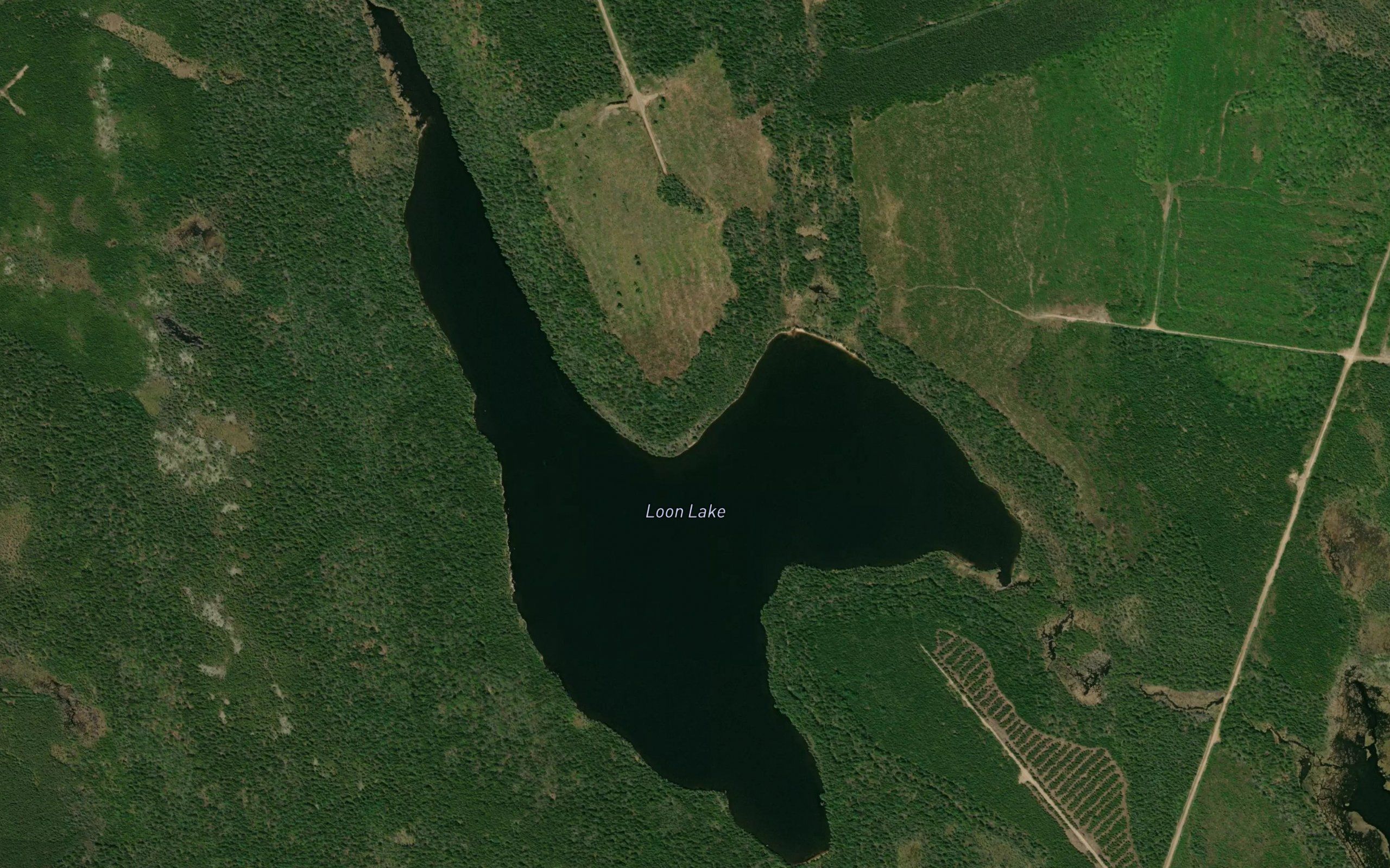 Loon Lake