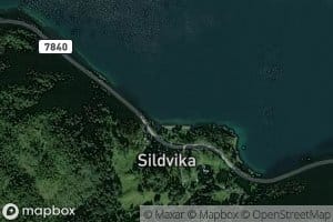 Sildevika