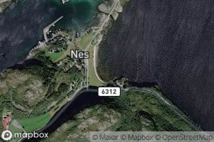 Nesvika