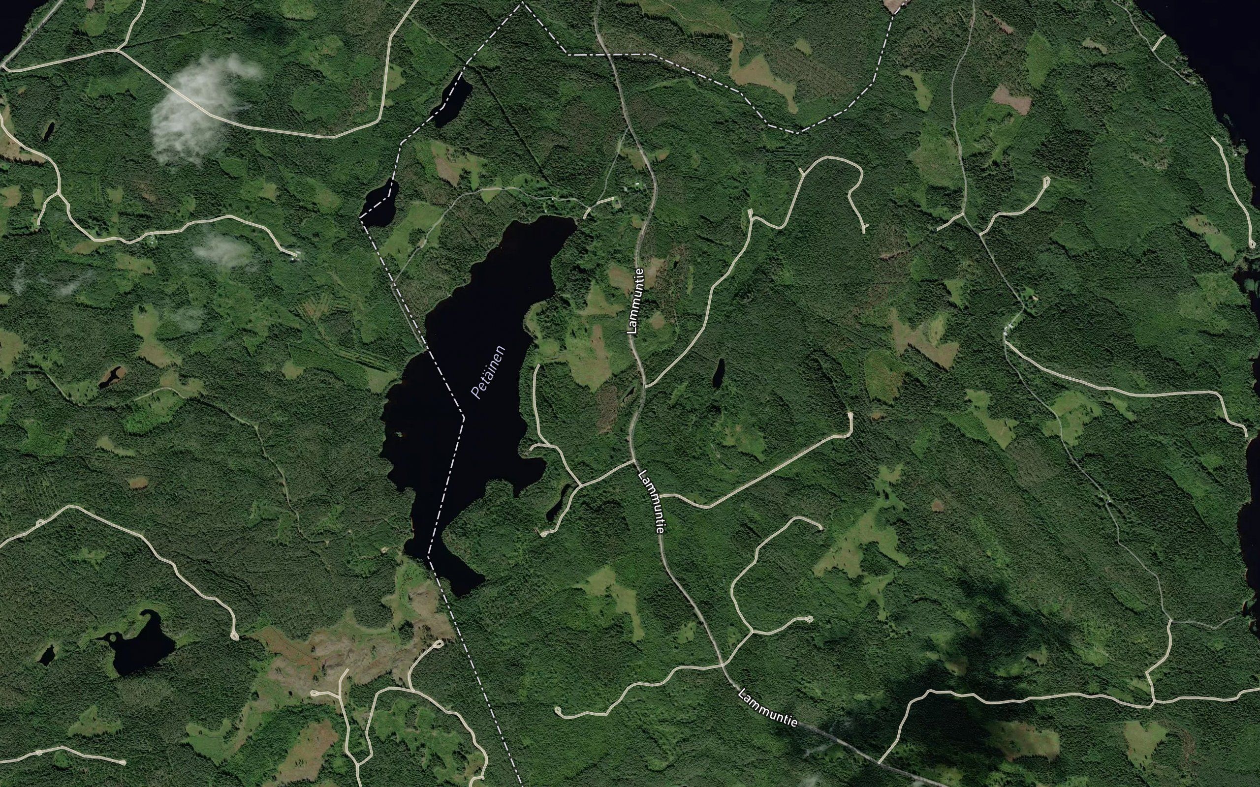 Heinalampi