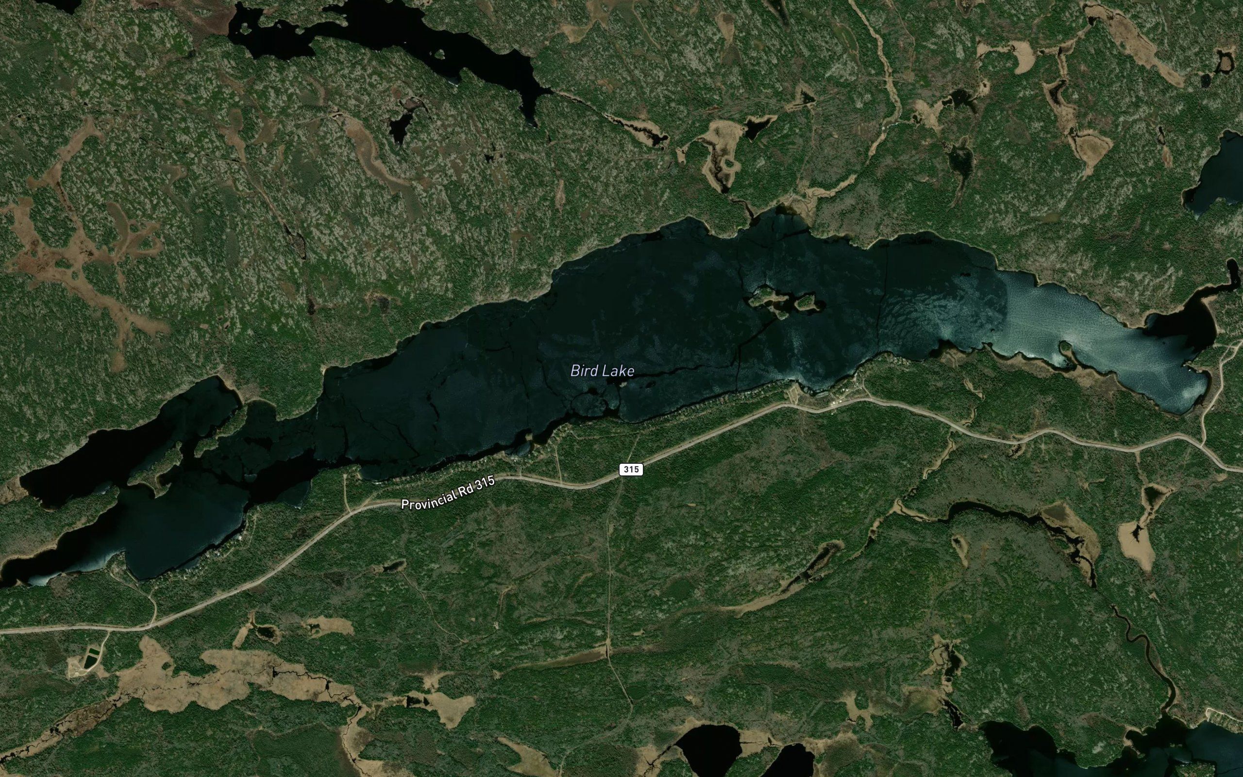 Bird Lake