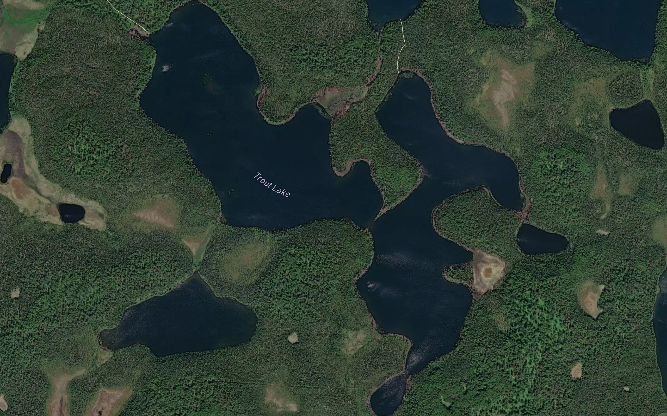 Trout Lake