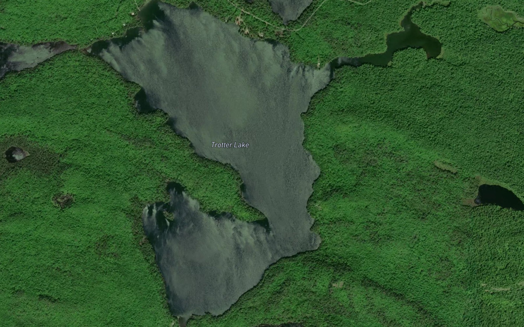 Satellite map of the Trotter Lake