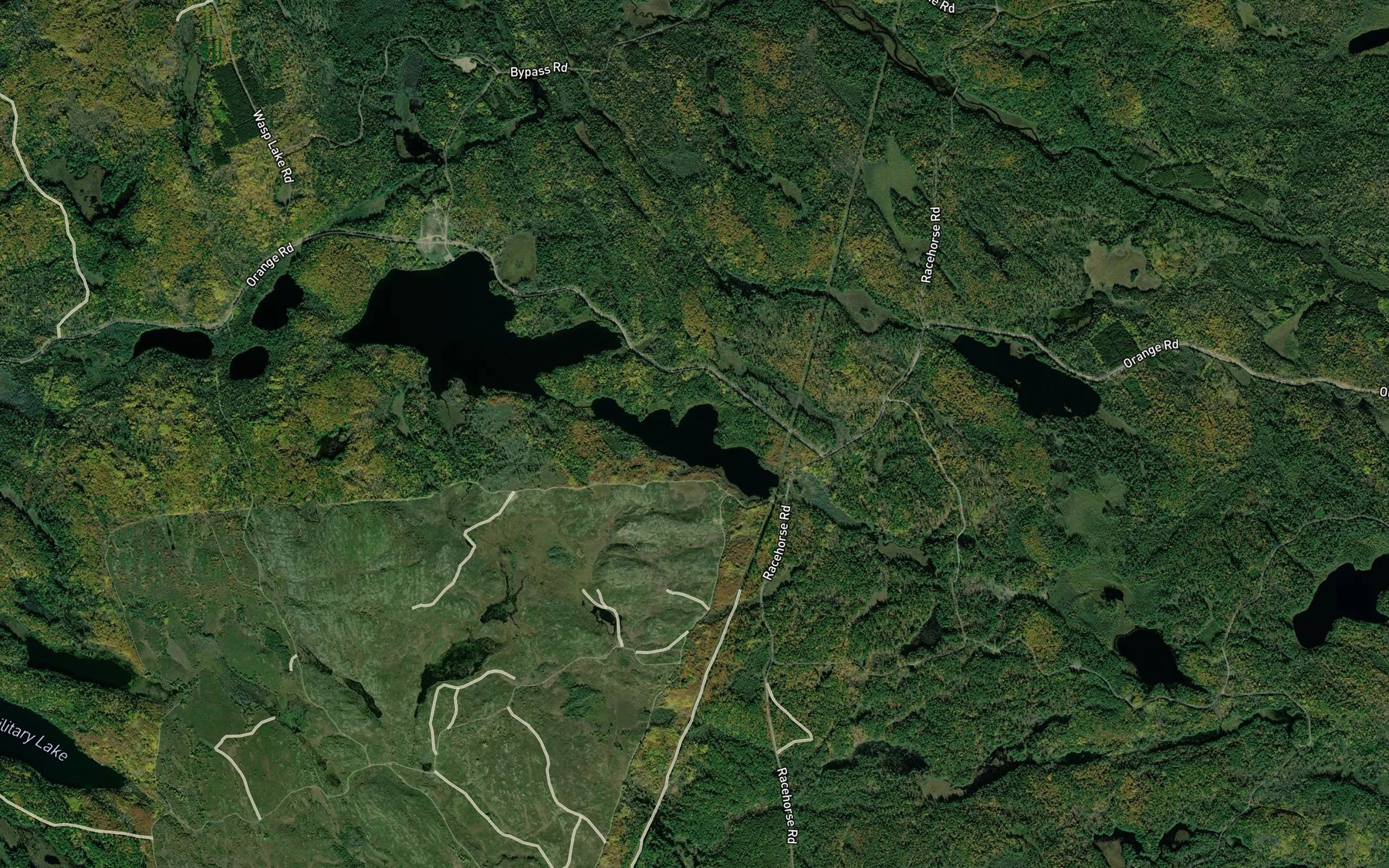 Satellite map of the Long Lake