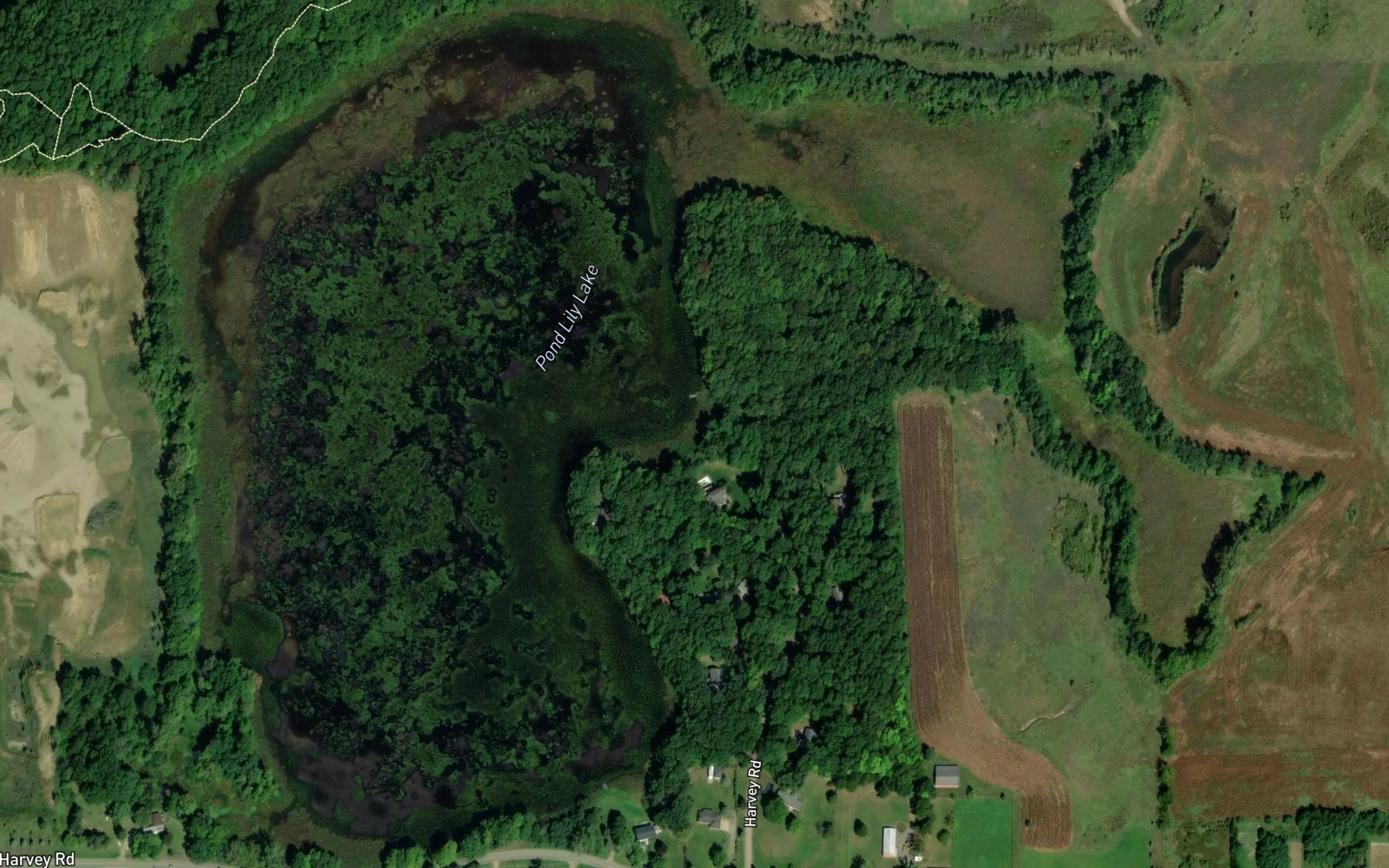 Satellite map of the Pond Lily Lake