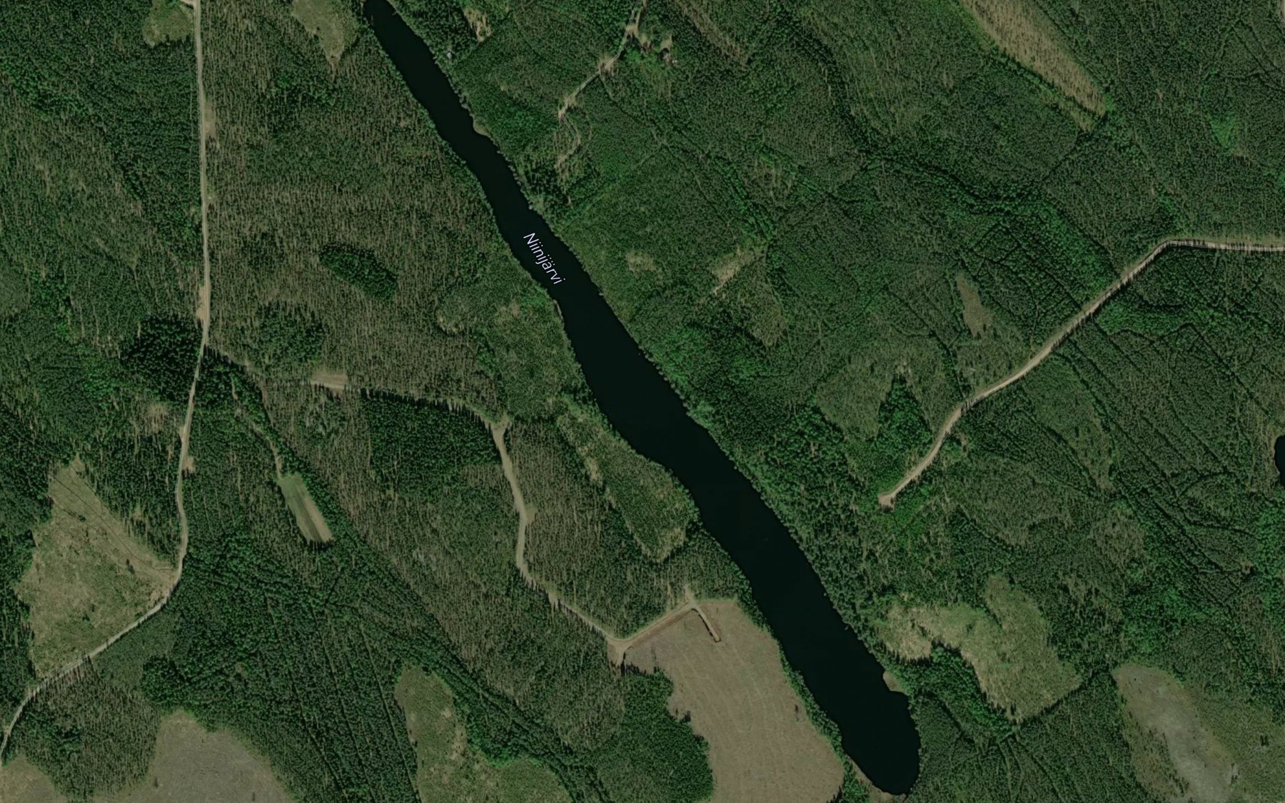 Satellite map of the Niinijarvi