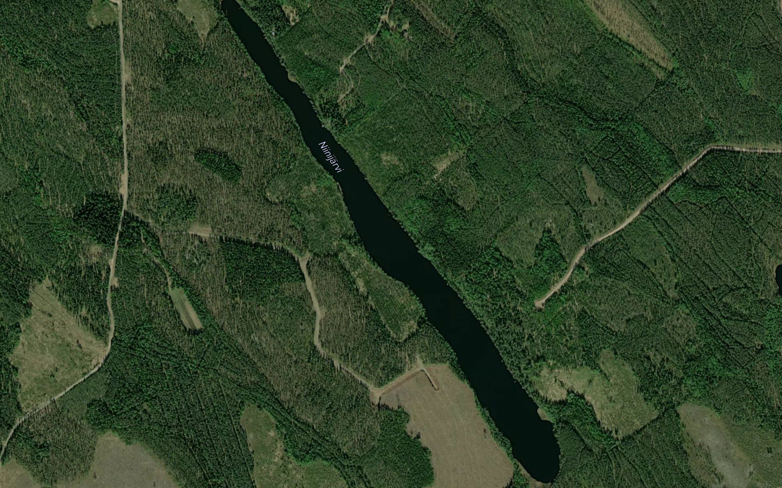 Niinijarvi