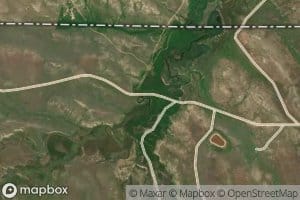 Randall Prong Waddle Creek