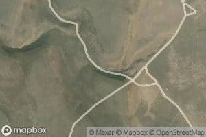 Mule Spring