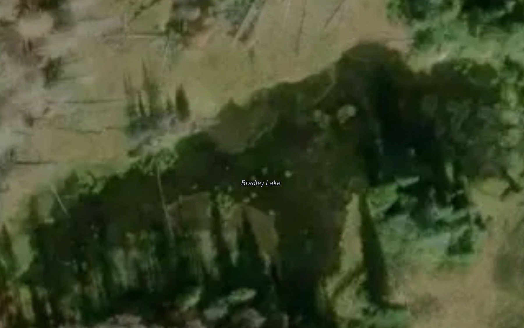 Satellite map of the Bradley Lake