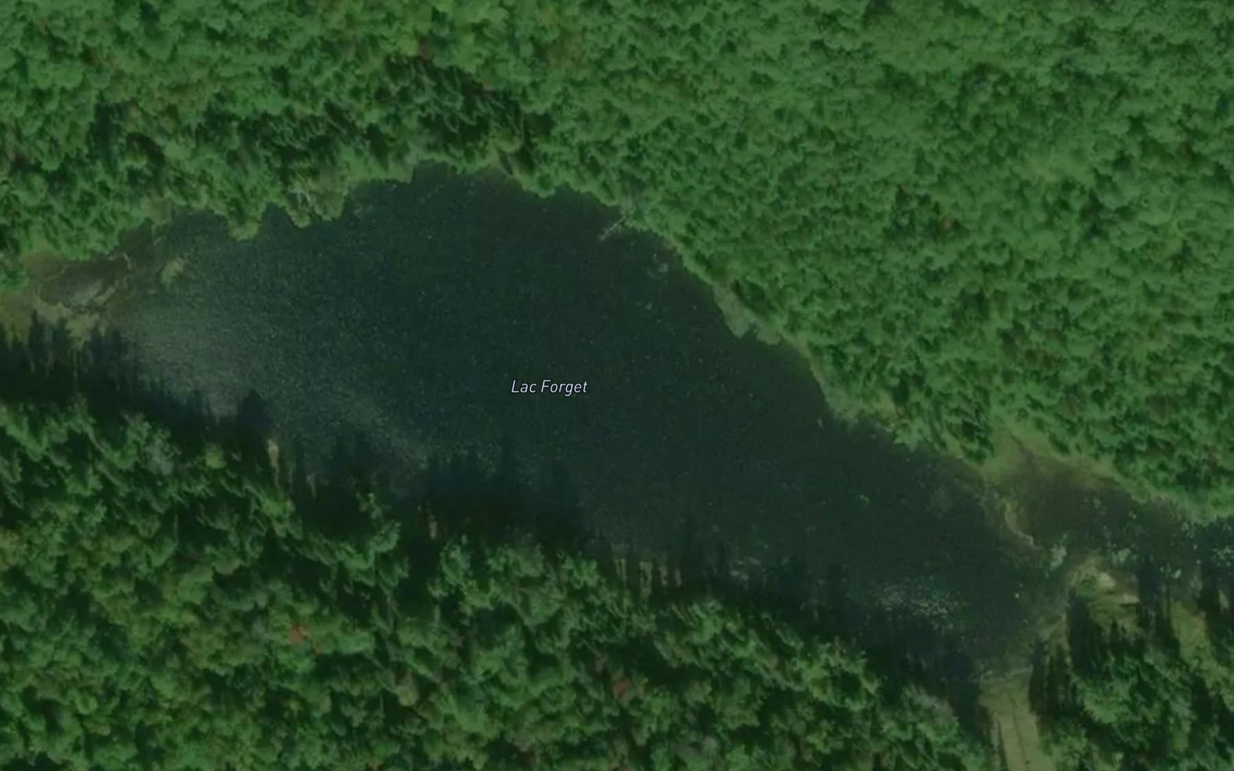 Satellite map of the Lac Forget