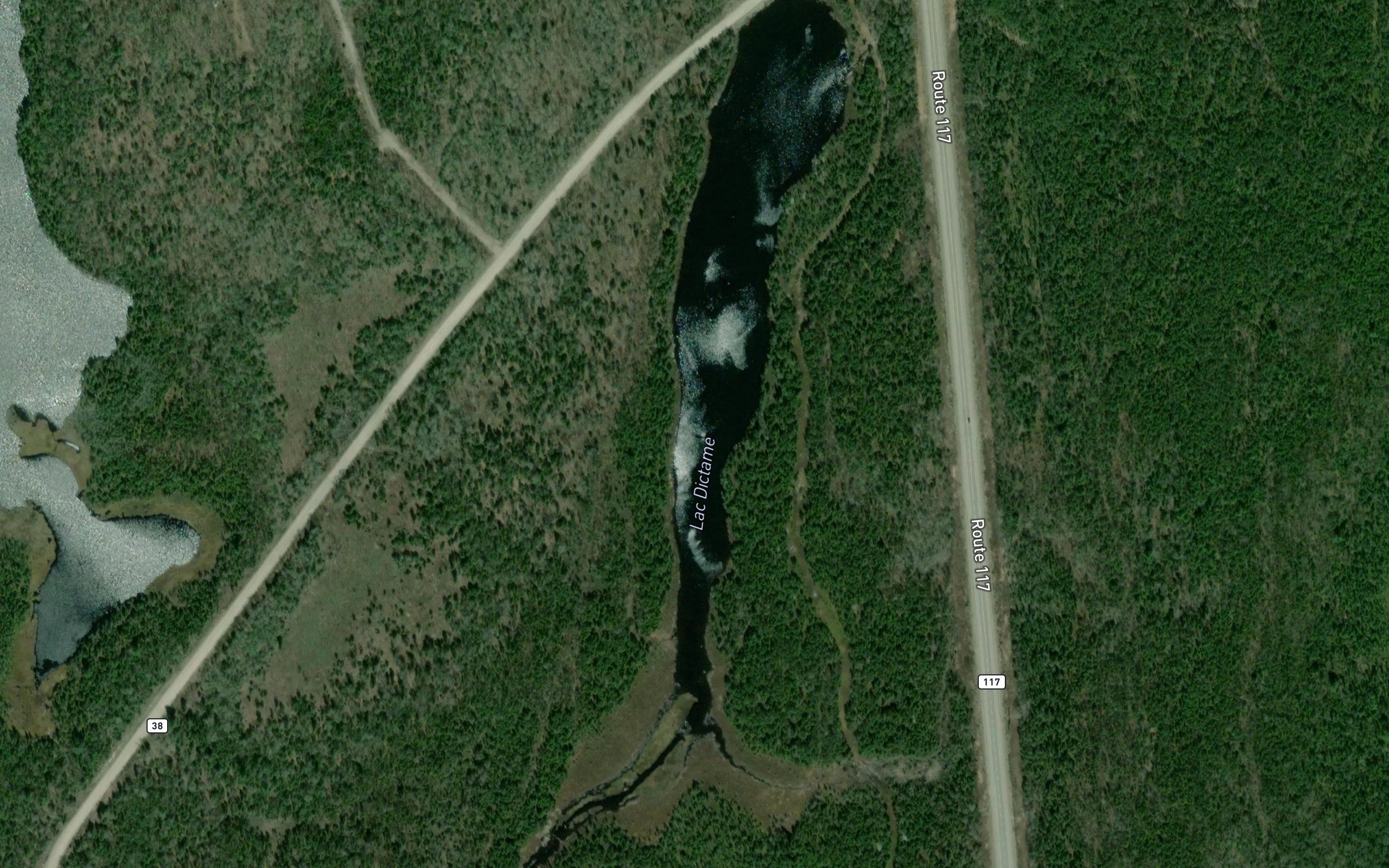 Lac Dictame