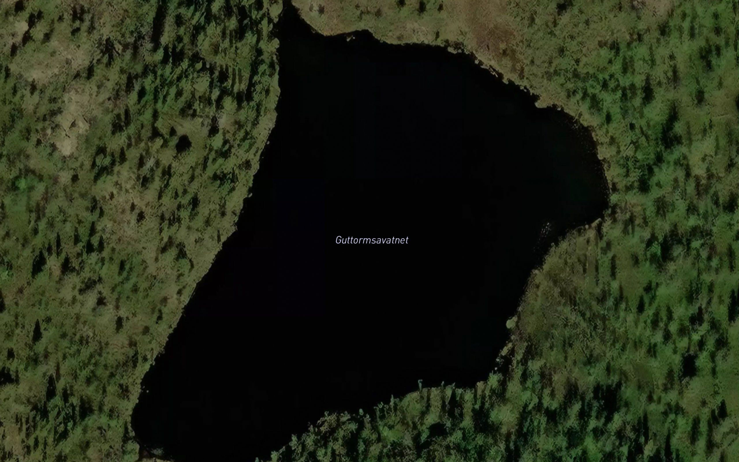 Guttormsavatnet