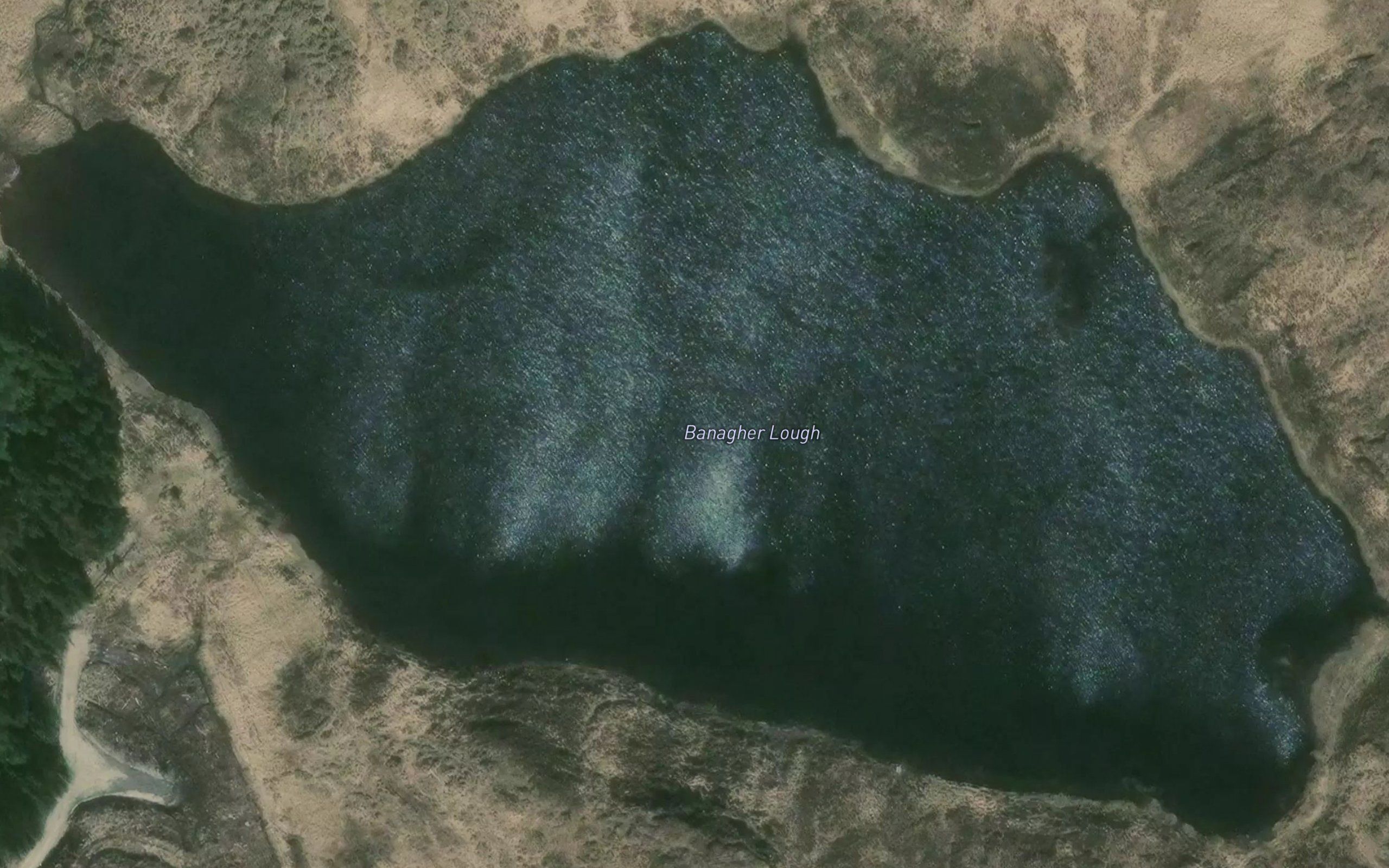 Banagher Lough