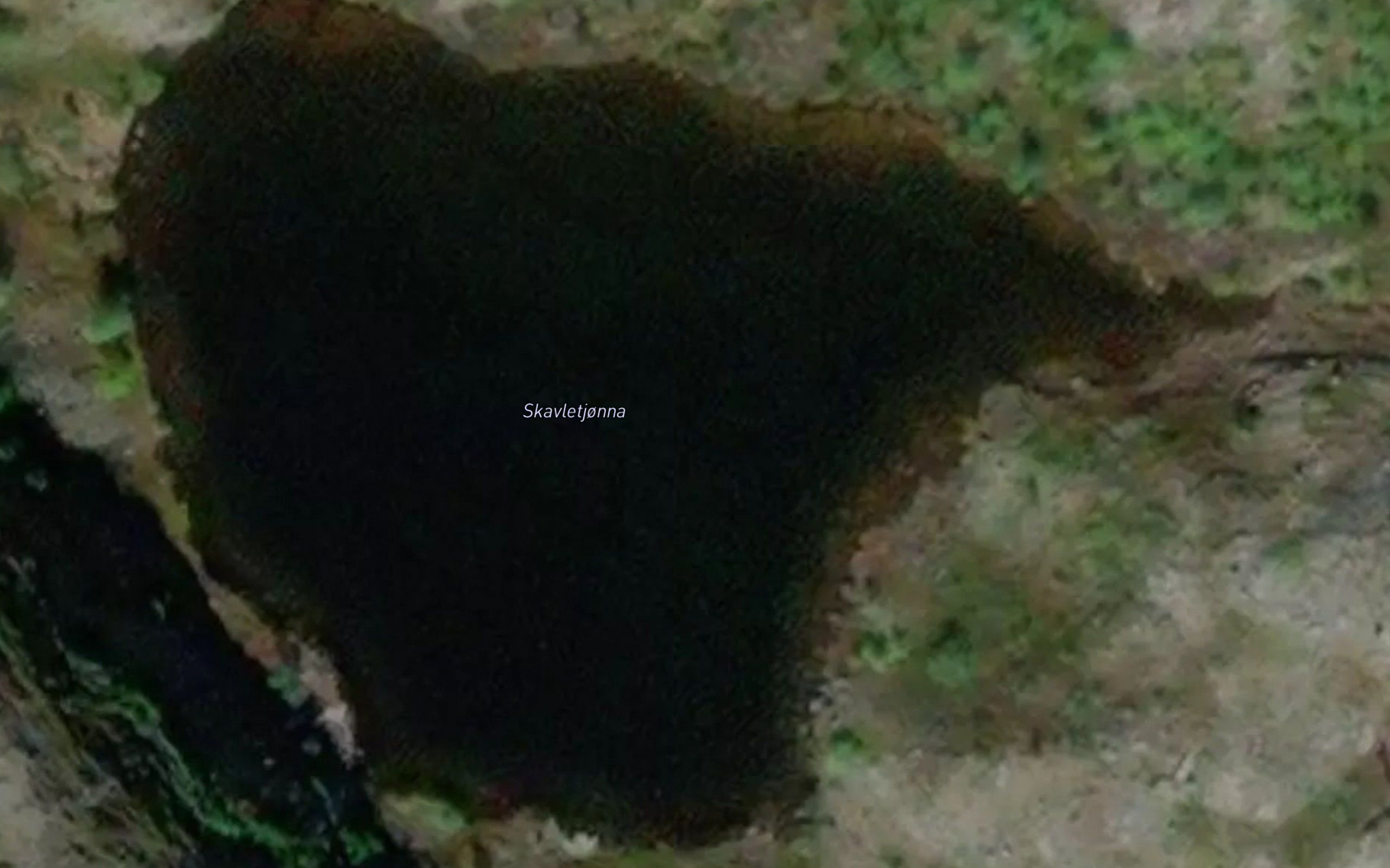 Skavletjorna
