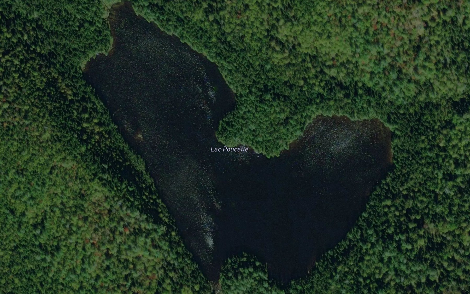Satellite map of the Lac Poucette