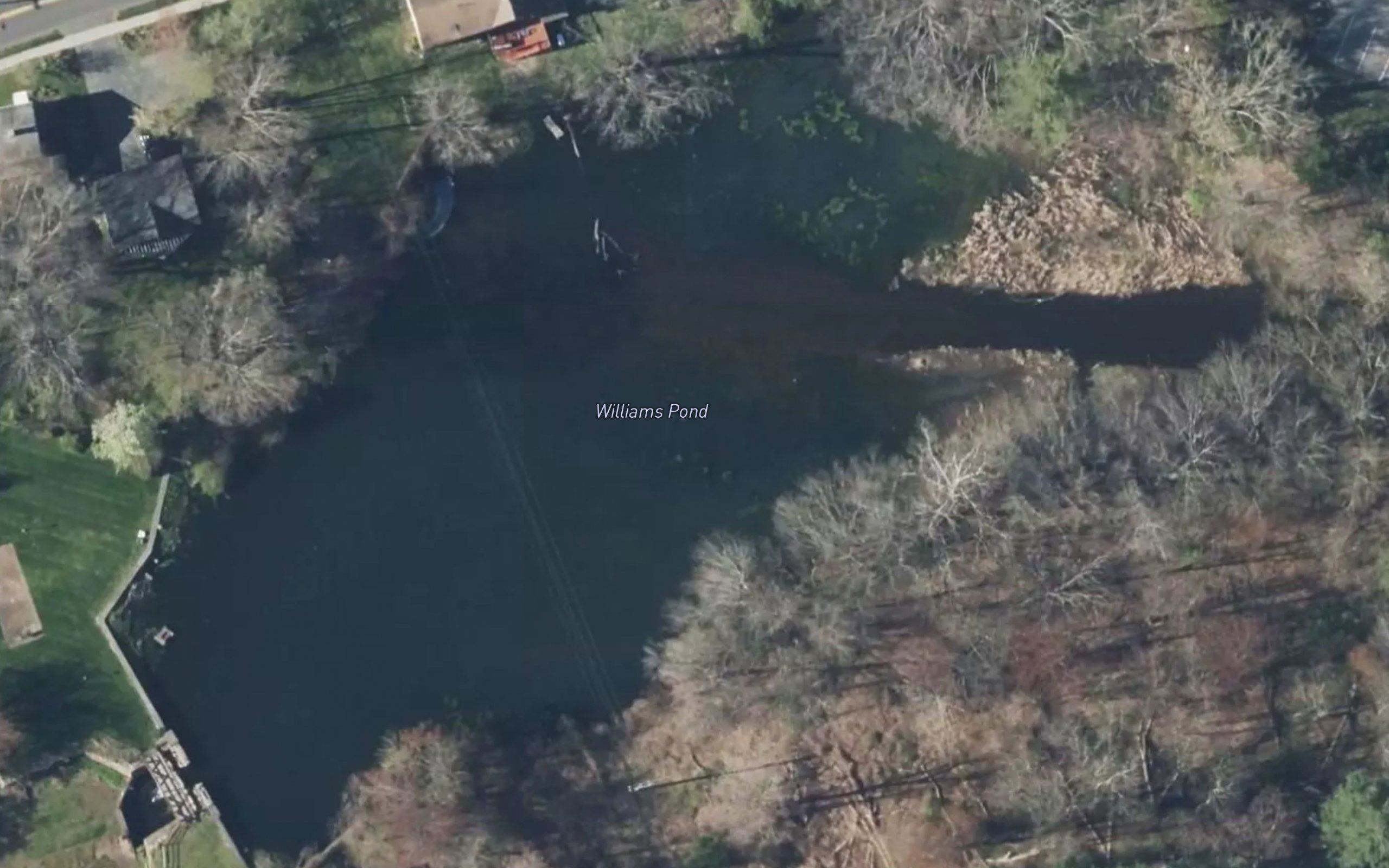 Williams Pond