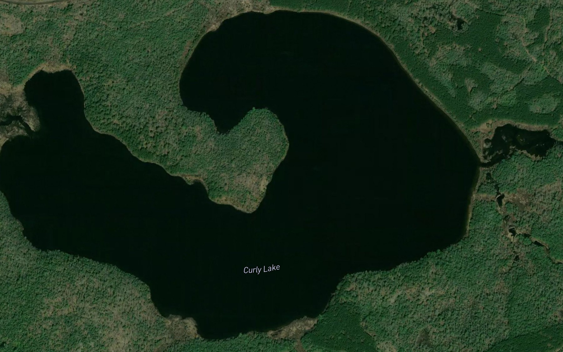 Satellite map of the Curly Lake