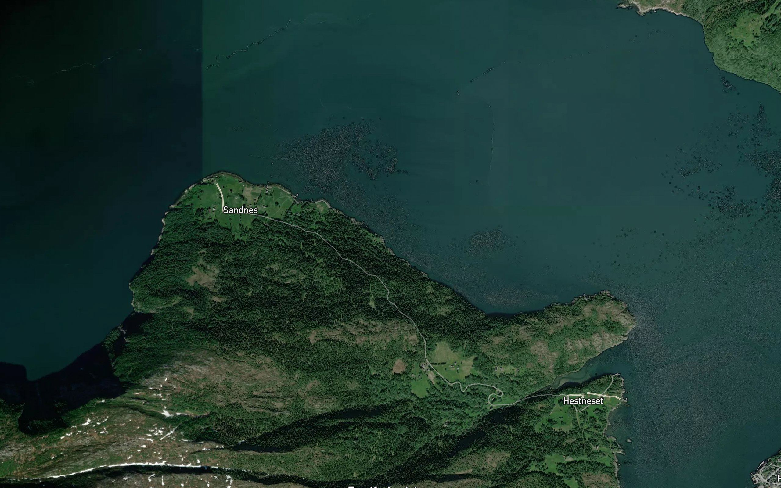 Rorvika