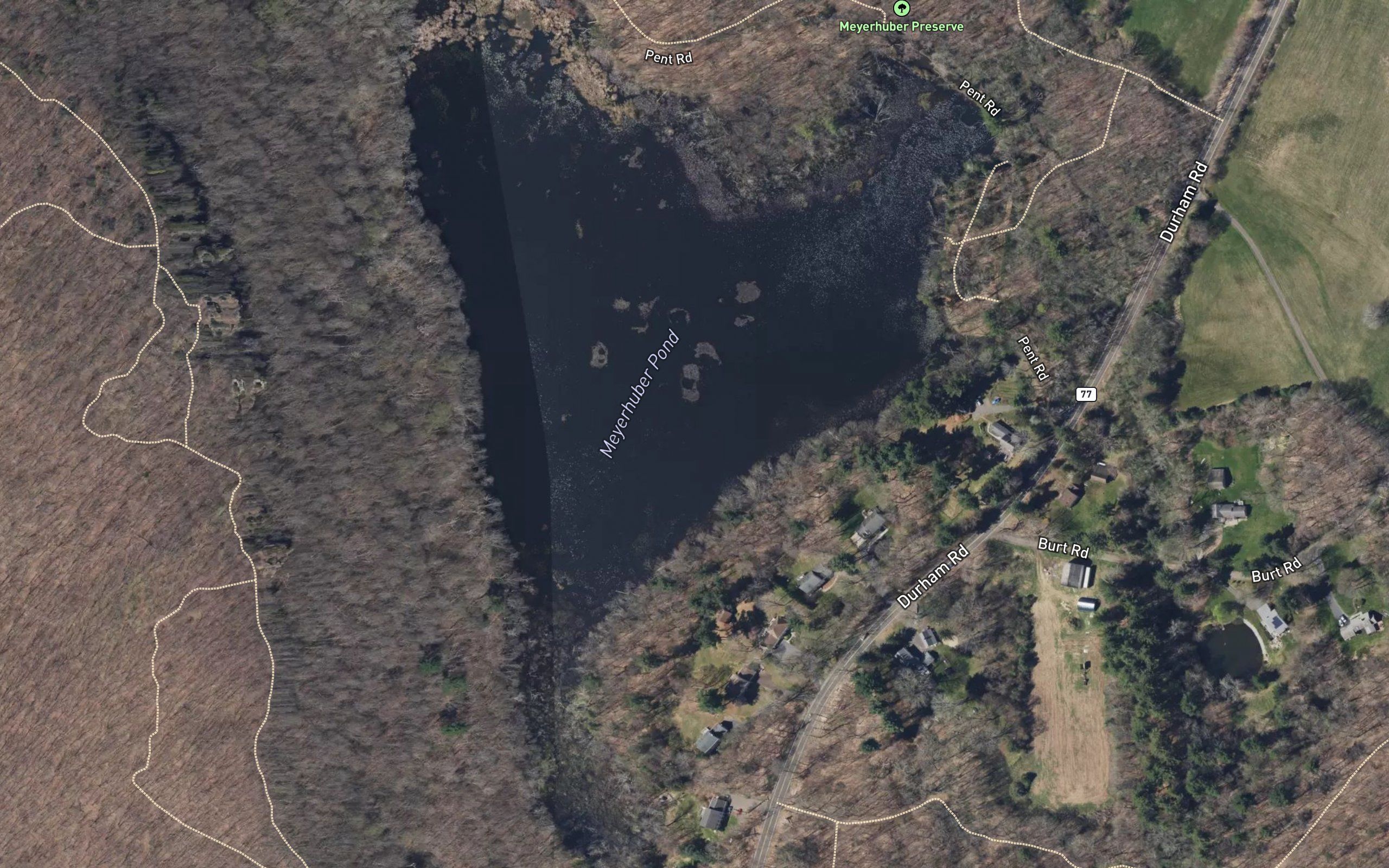Myer Huber Pond