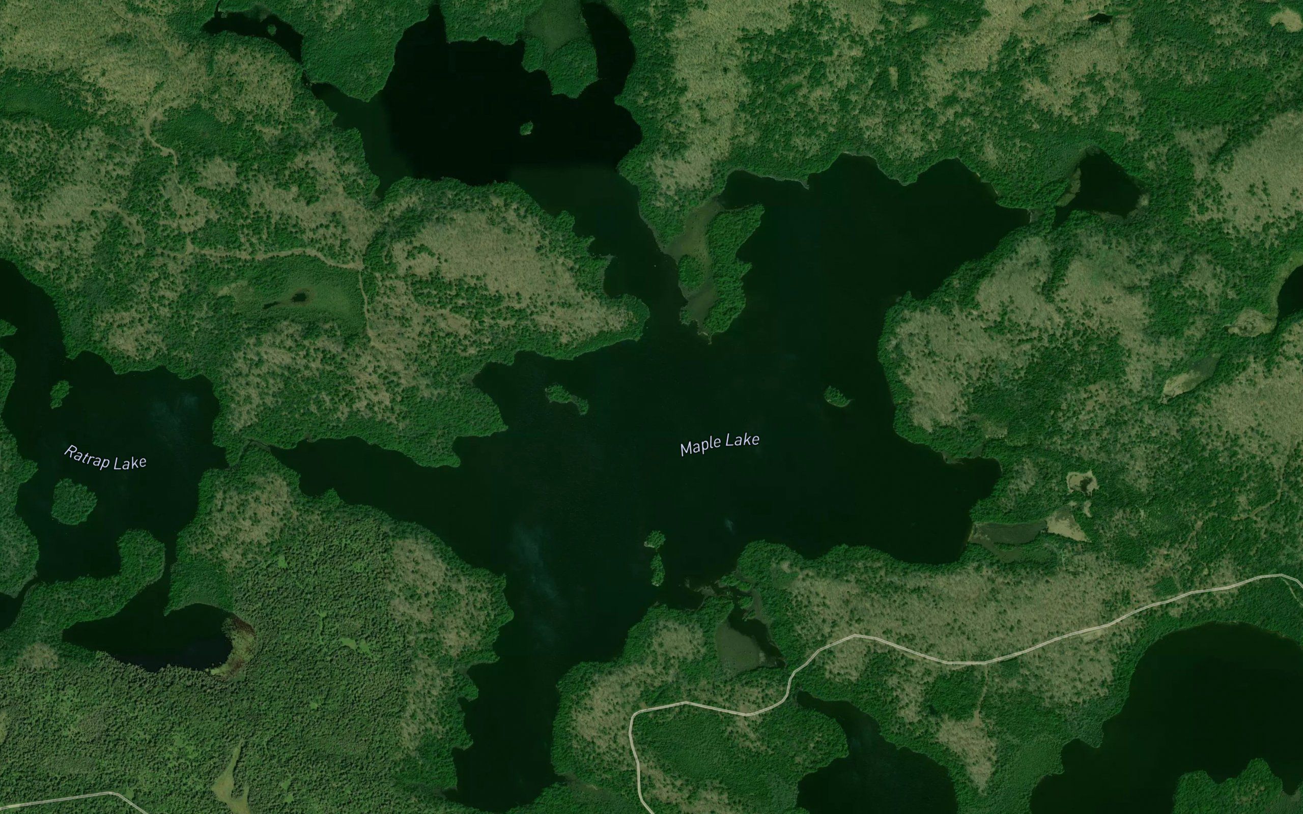 Maple Lake
