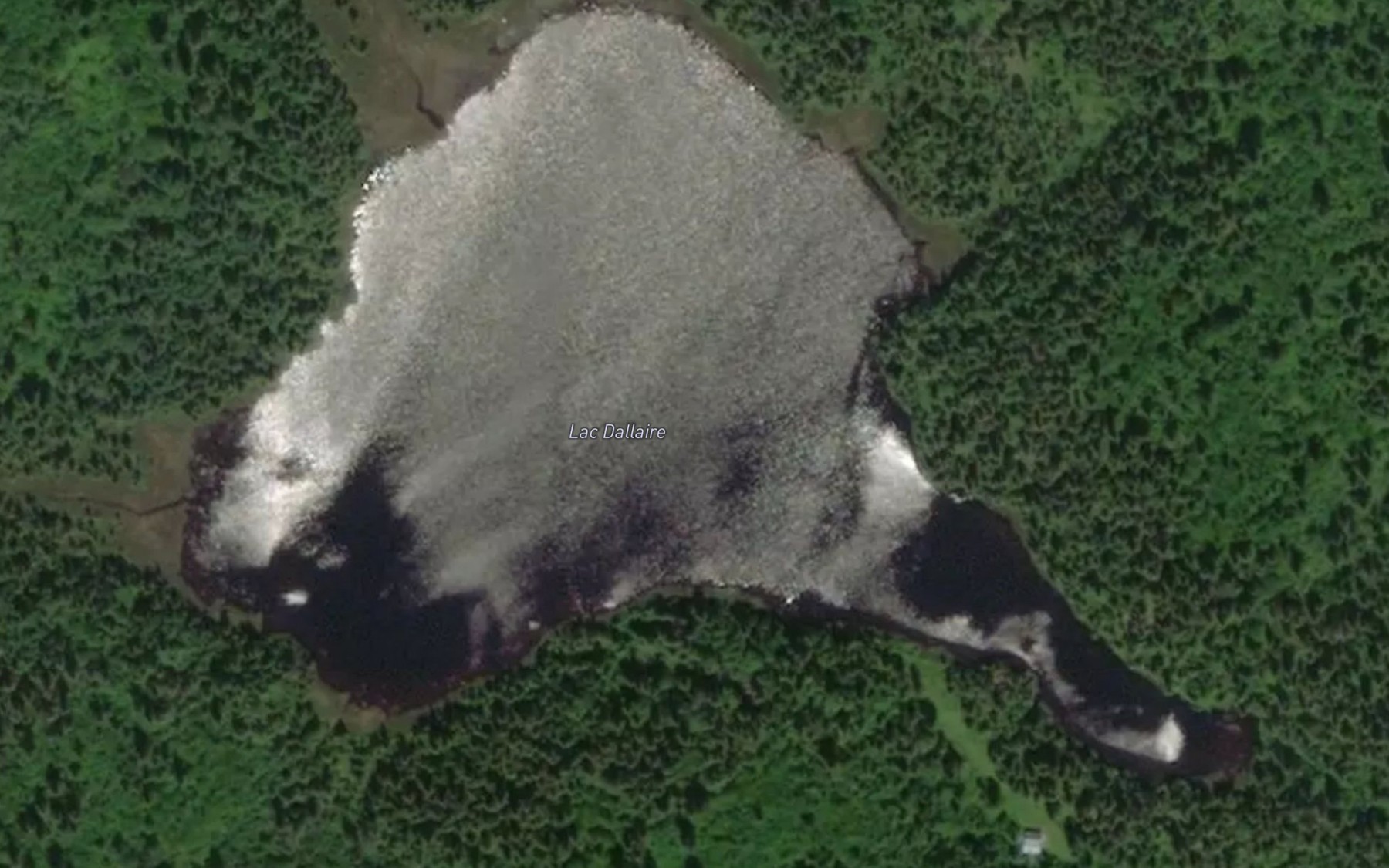 Satellite map of the Lac Dallaire