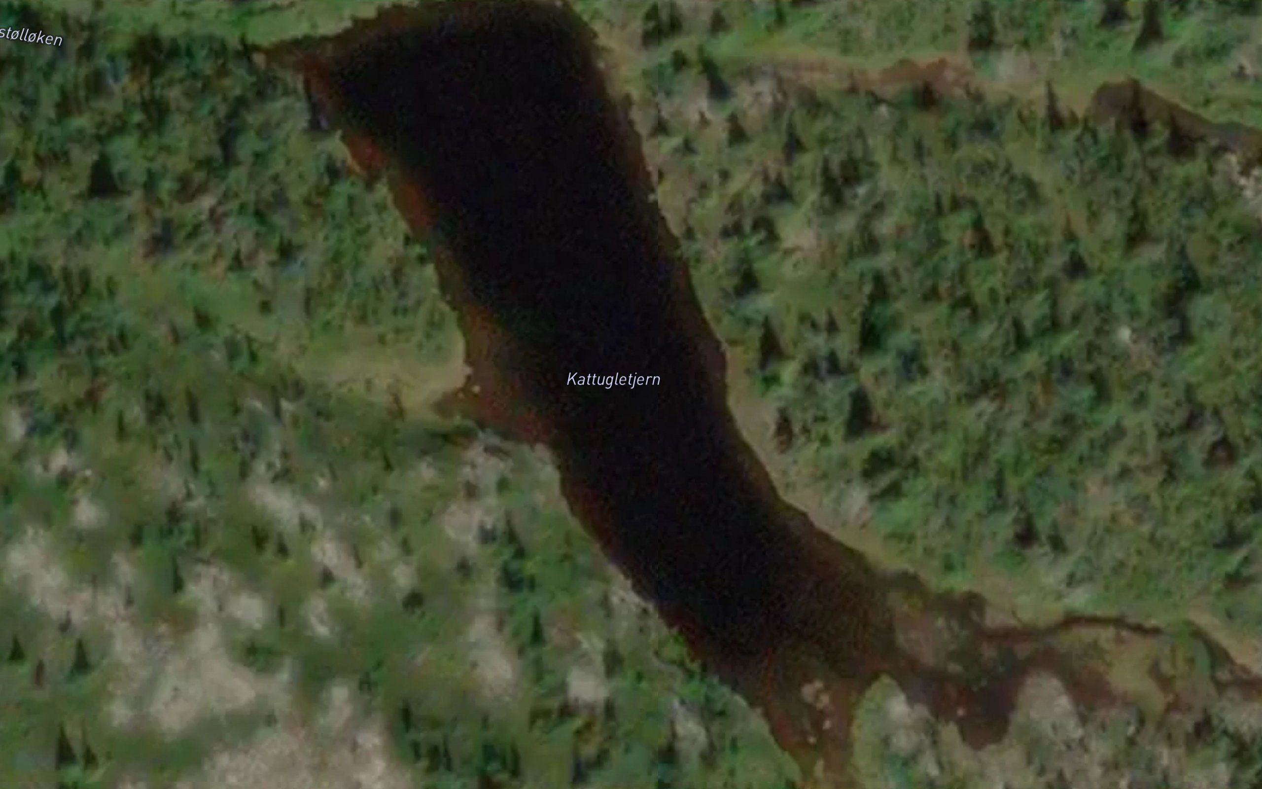 Kattugletjern