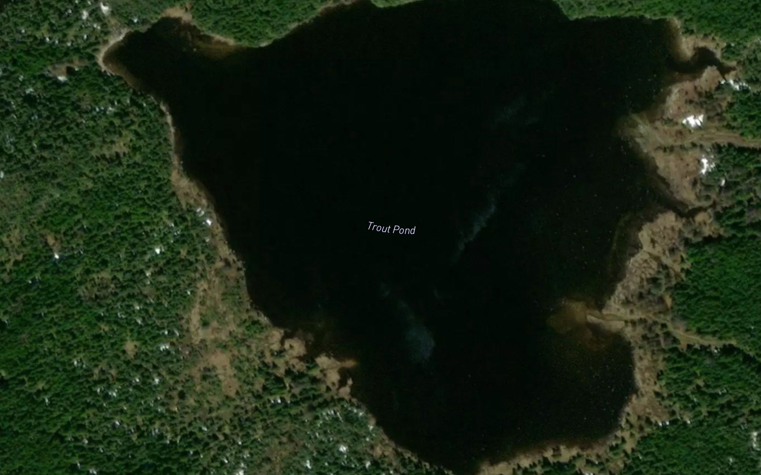Trout Pond
