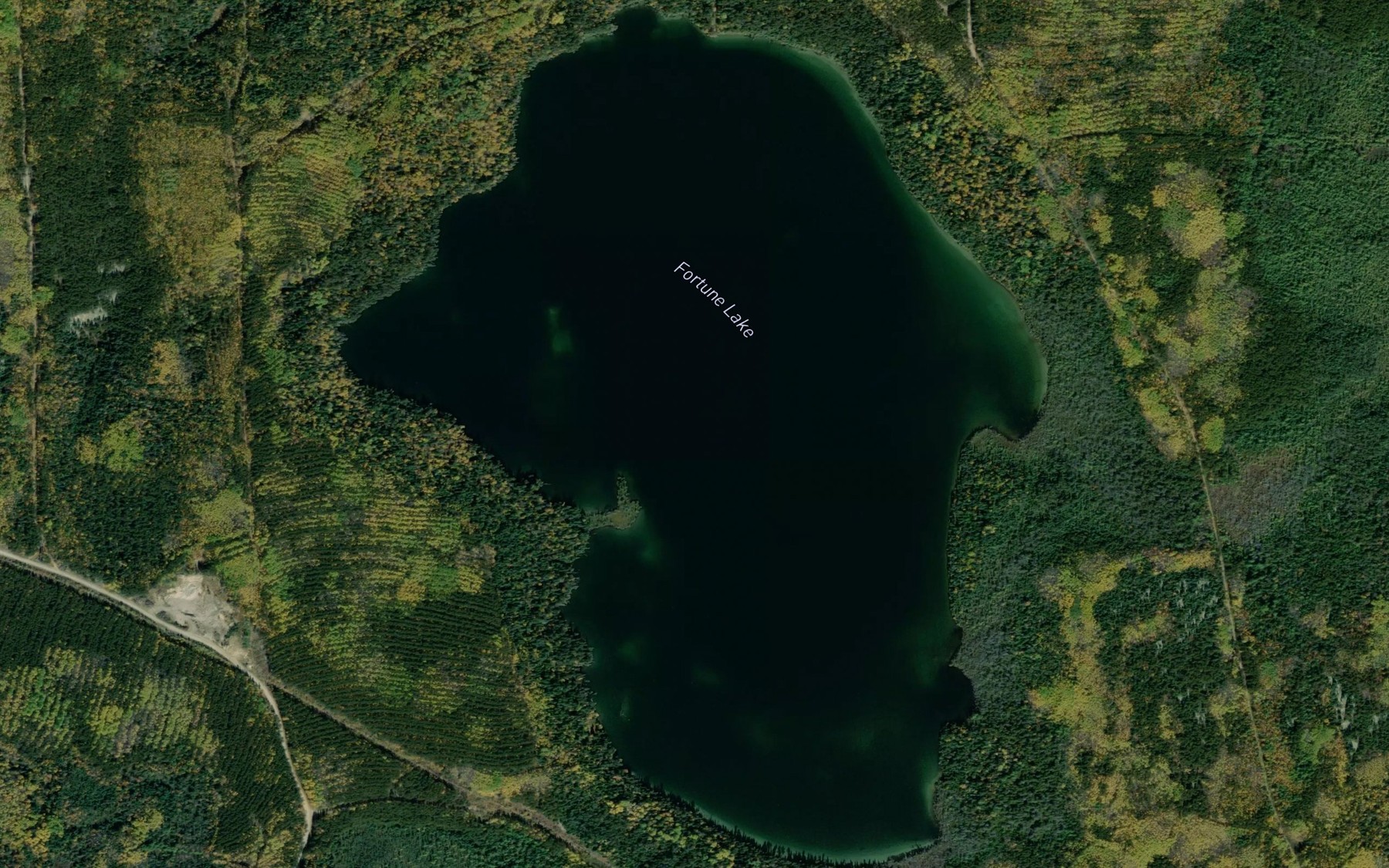 Satellite map of the Fortune Lake