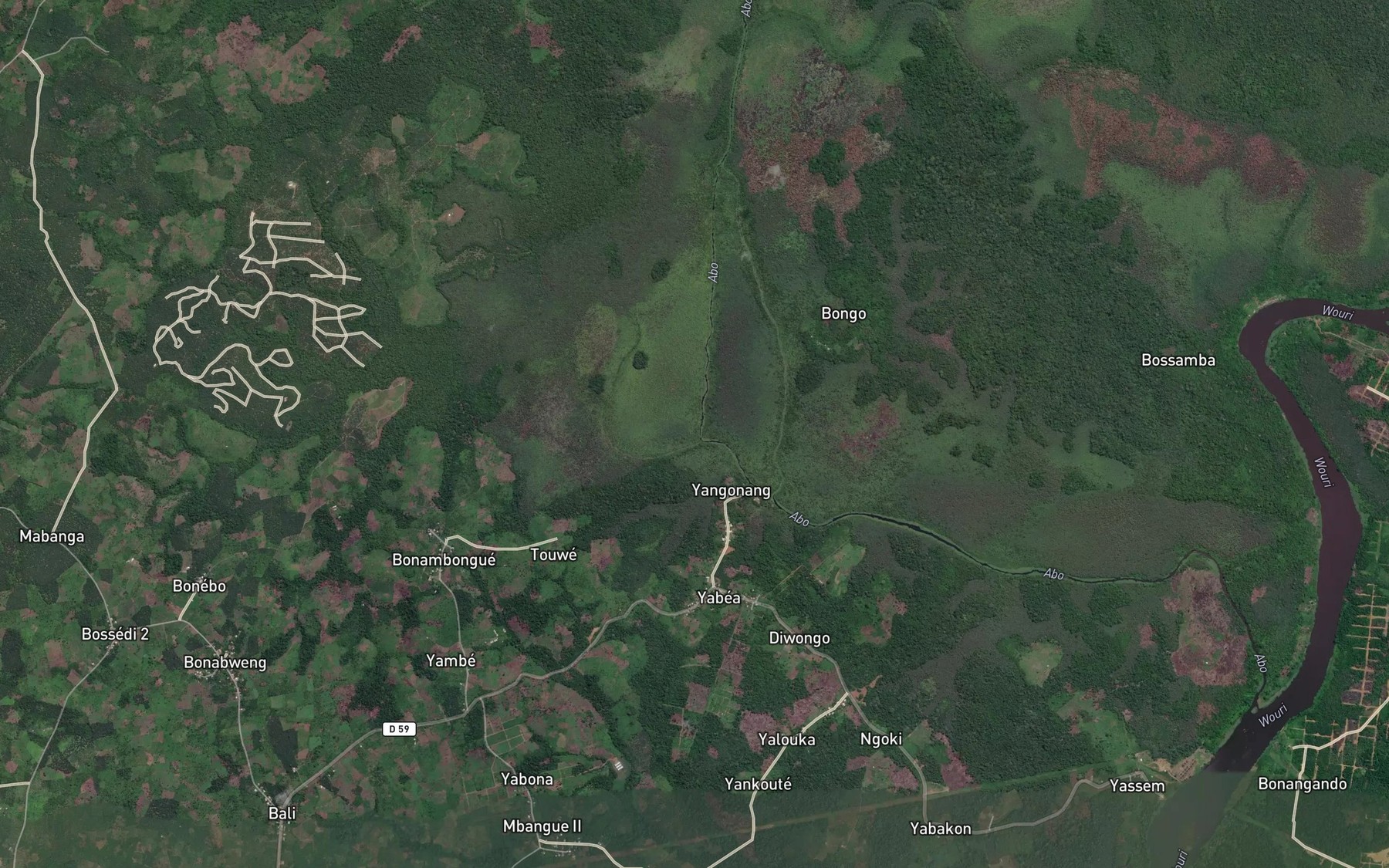 Satellite map of the Bakoko