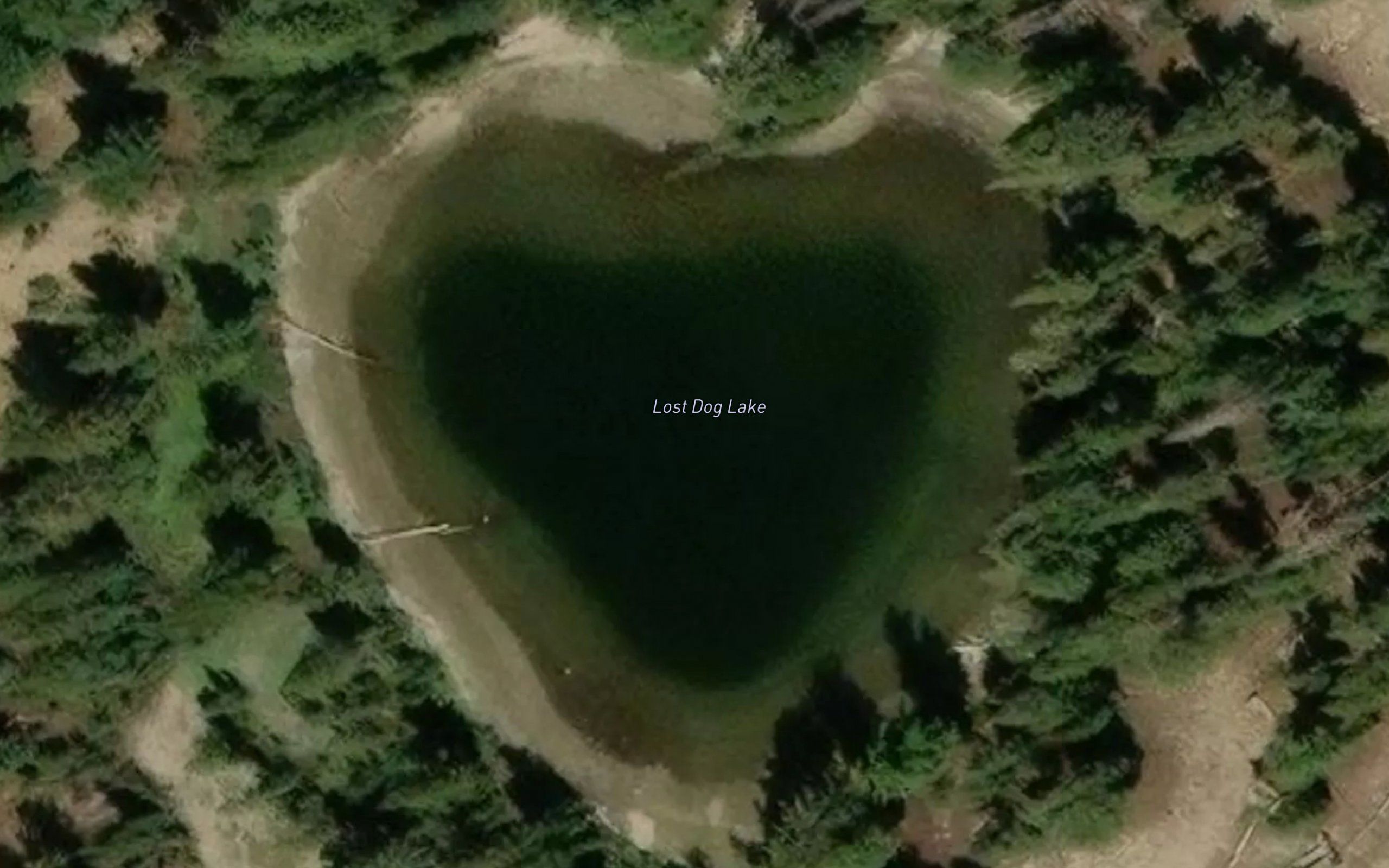 Lost Dog Lake