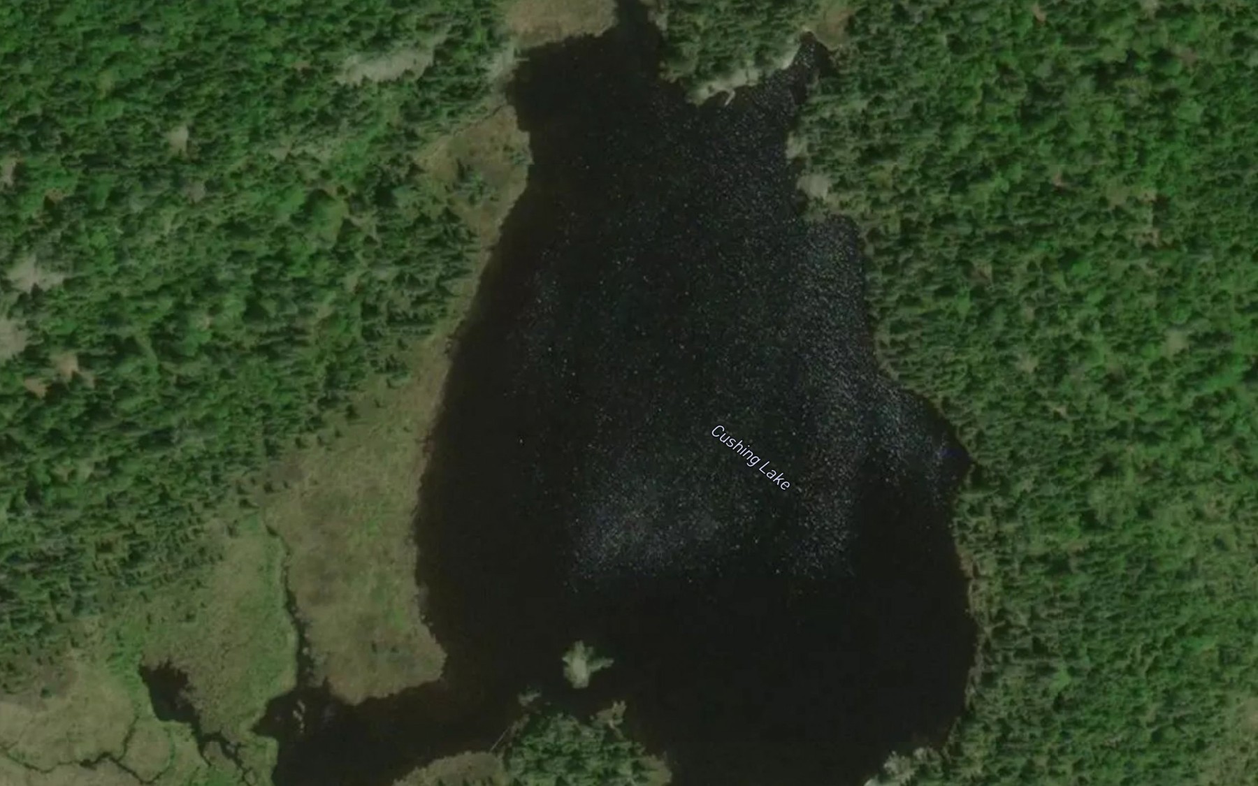 Satellite map of the Cushing Lake