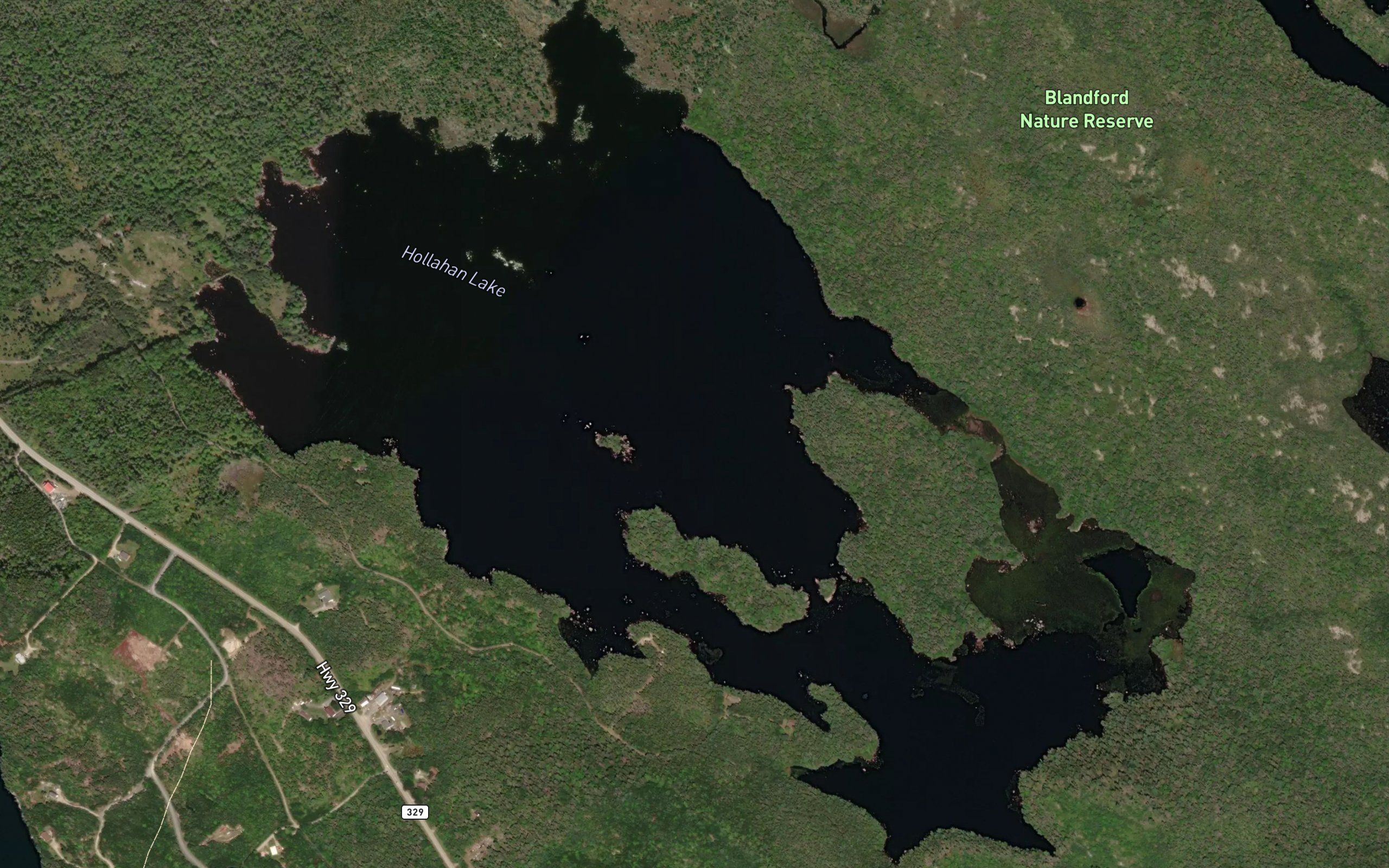 Hollahan Lake