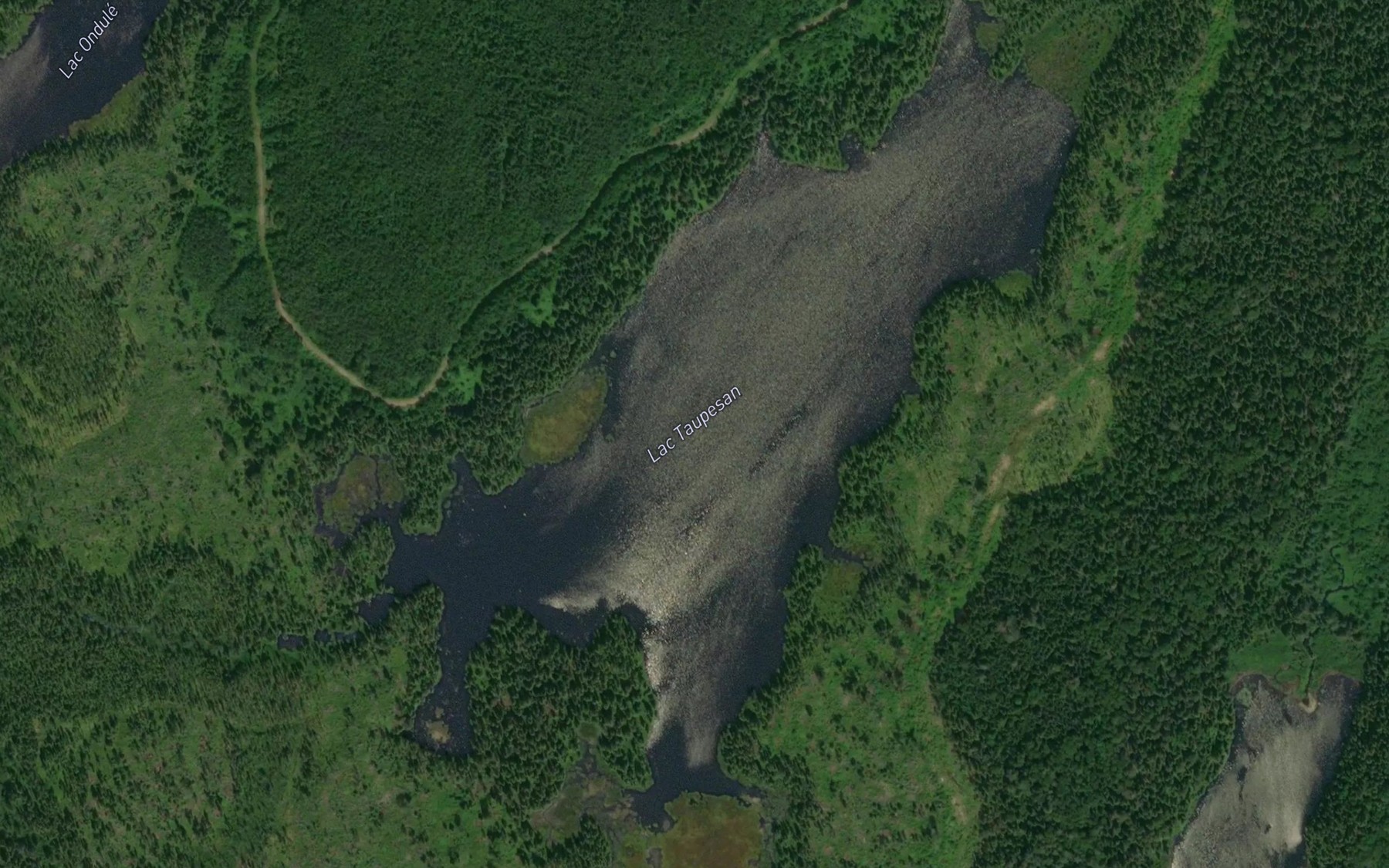 Satellite map of the Lac Taupesan