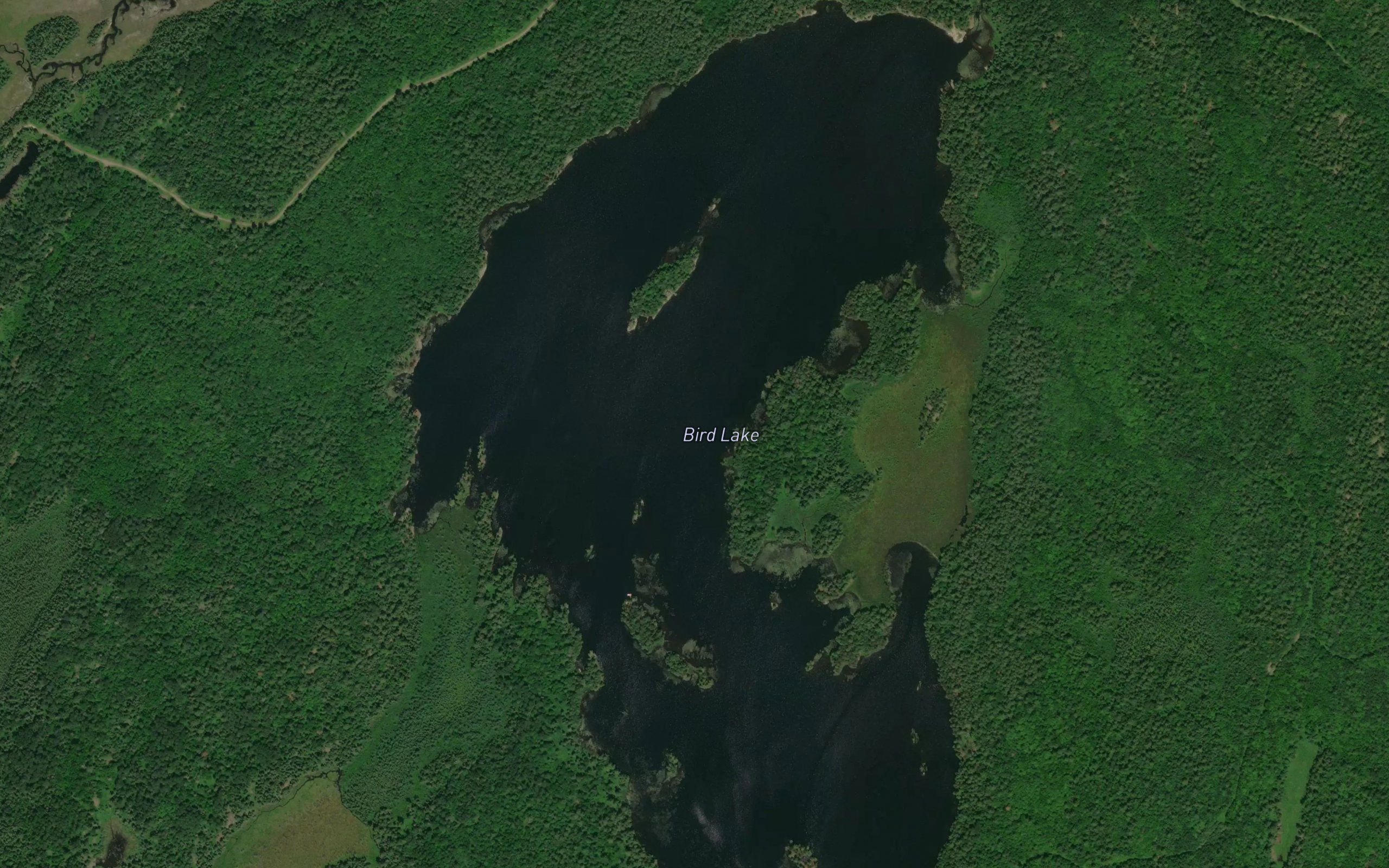 Bird Lake