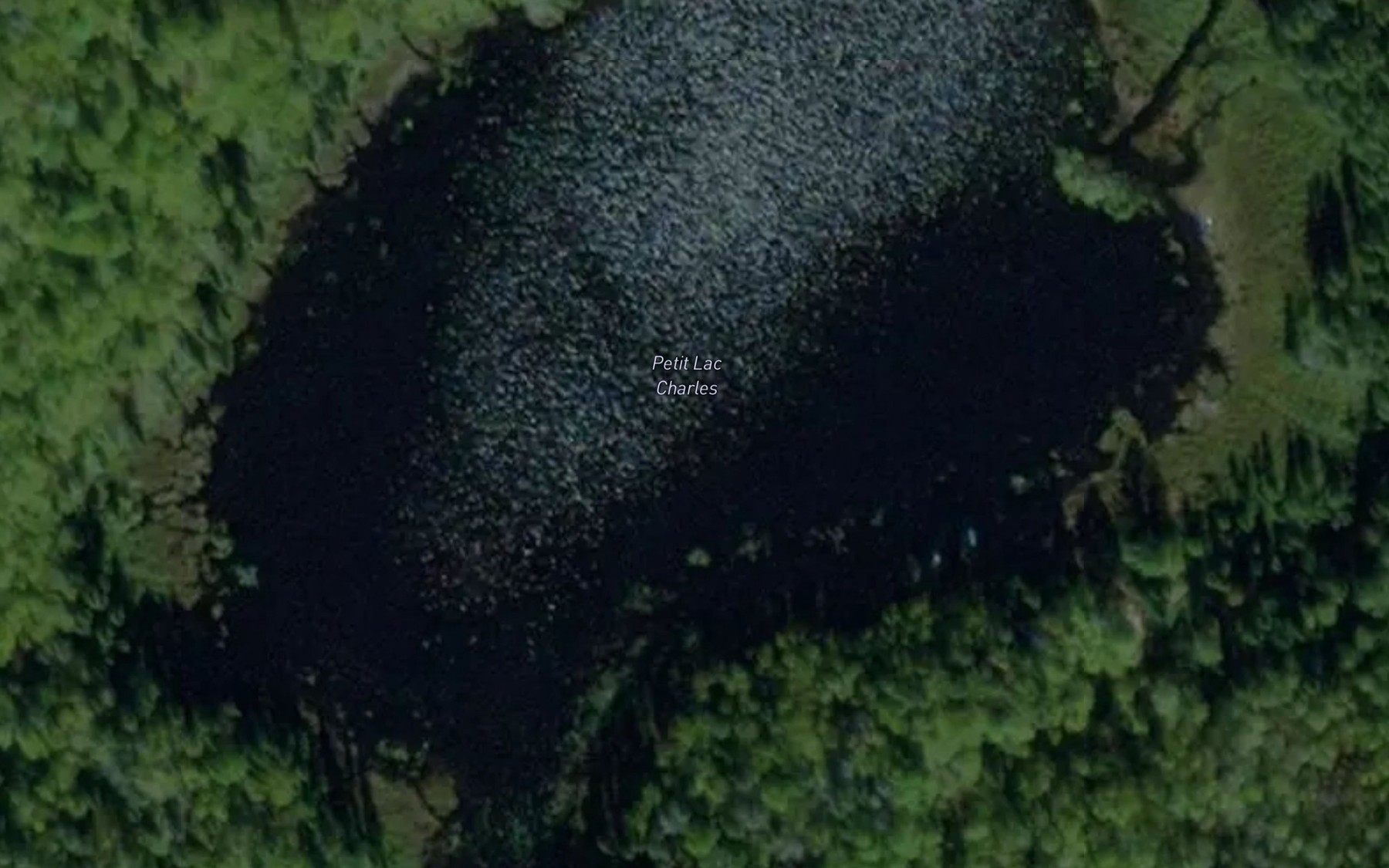 Satellite map of the Petit lac Charles