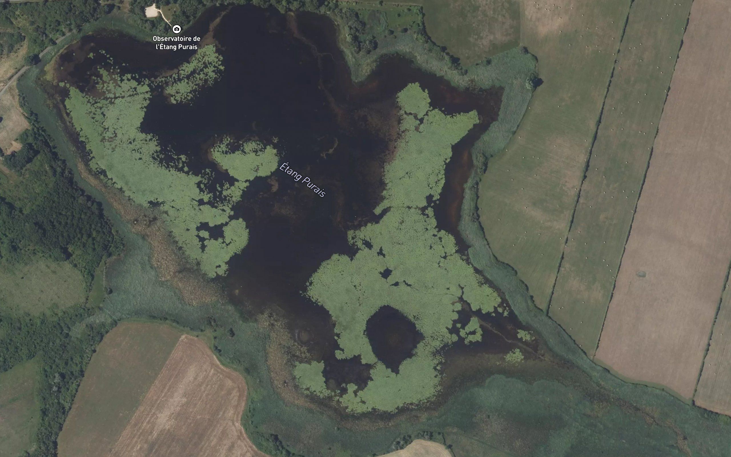 Etang Purais