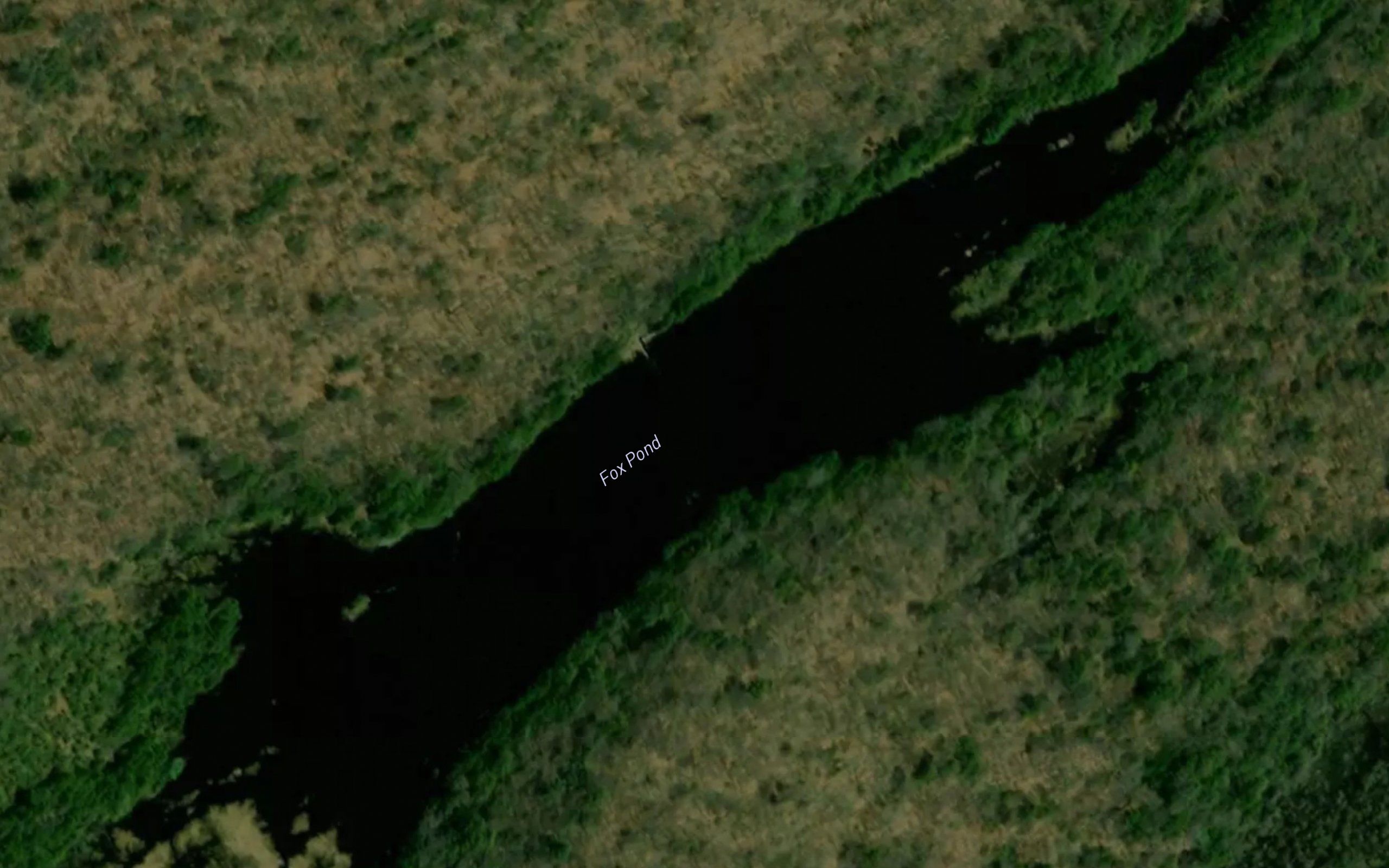 Fox Pond