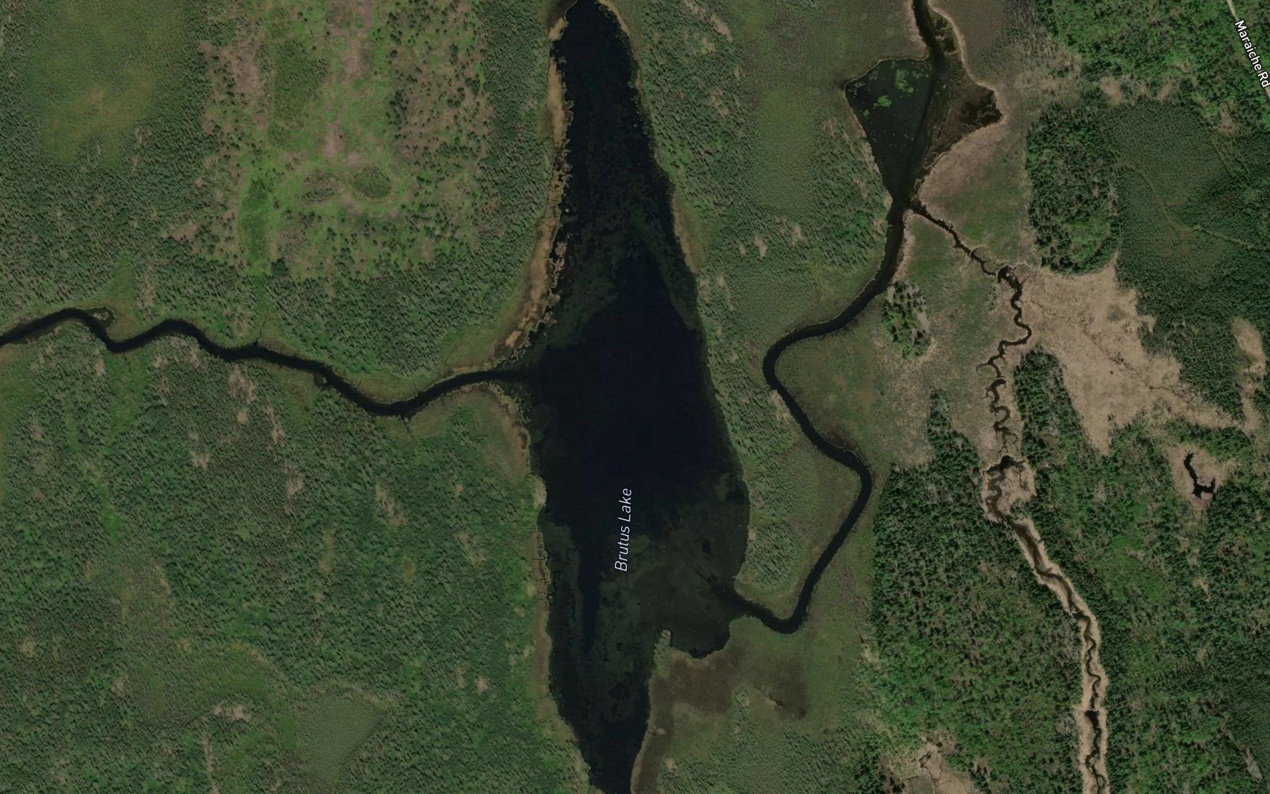 Brutus Lake
