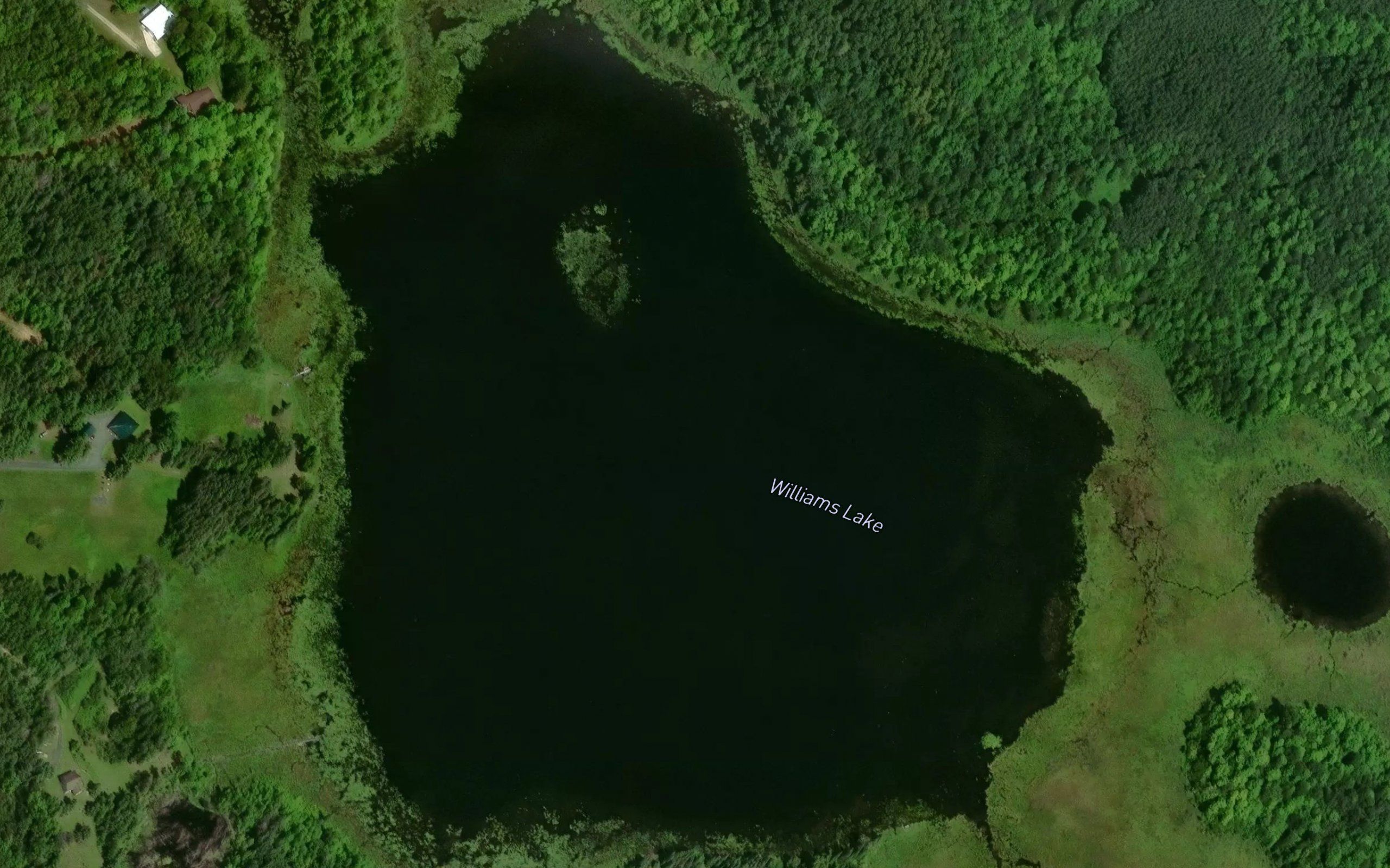 Williams Lake