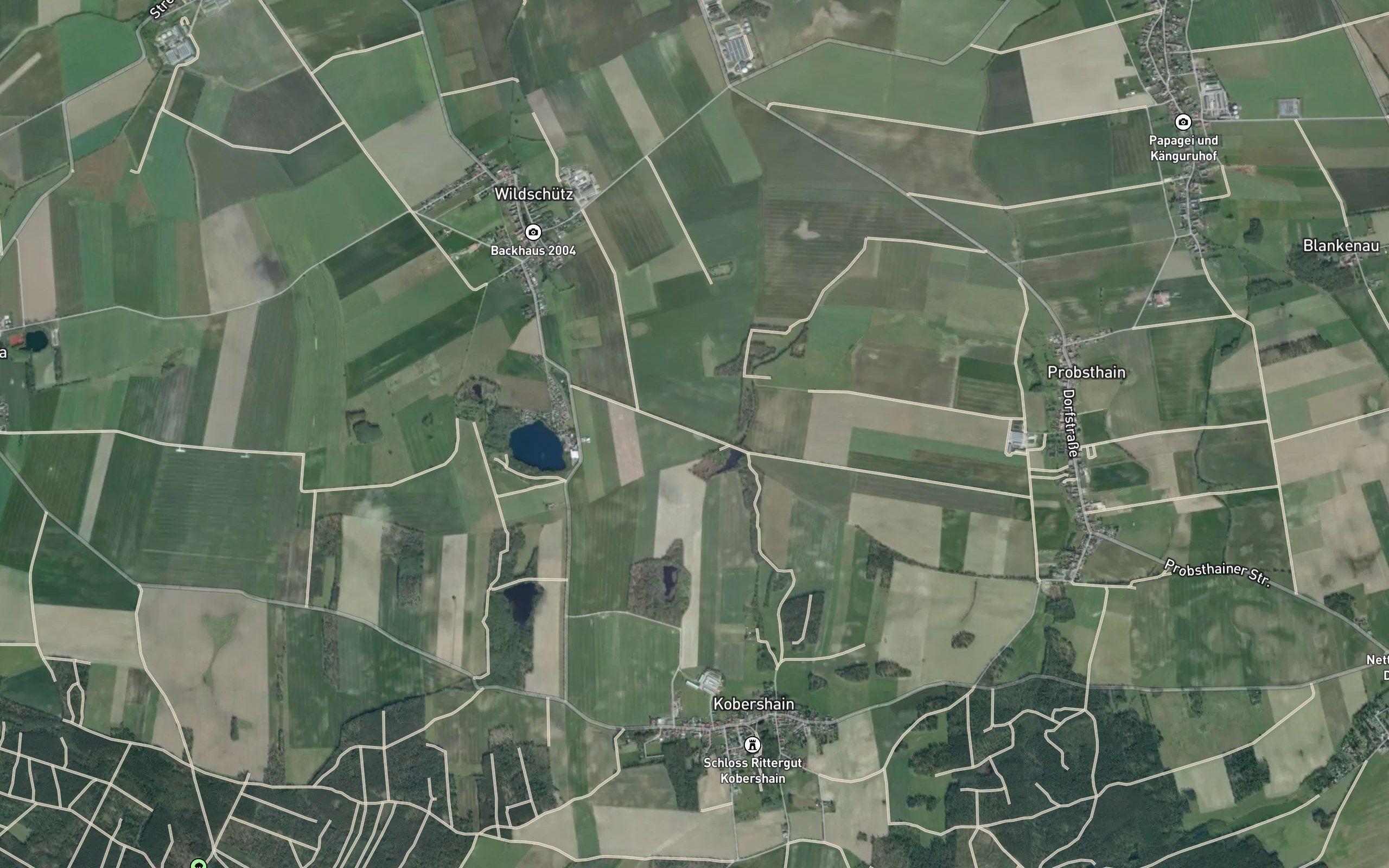 Rohrteich